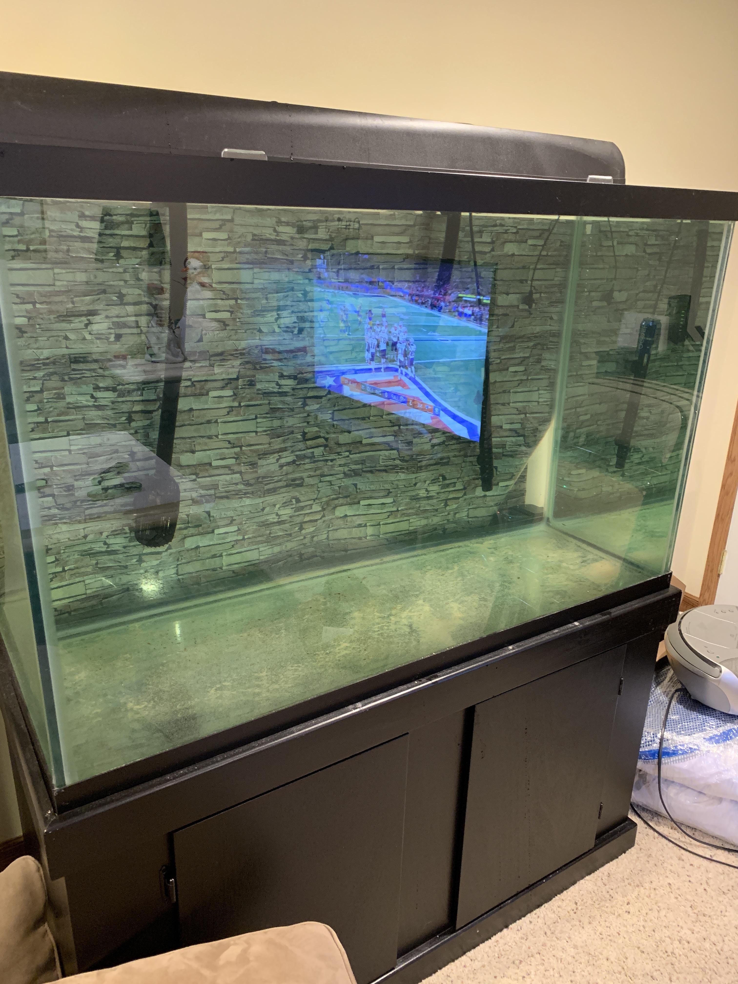 Finally setting up my 150 Gallon tank again! r/Aquariums