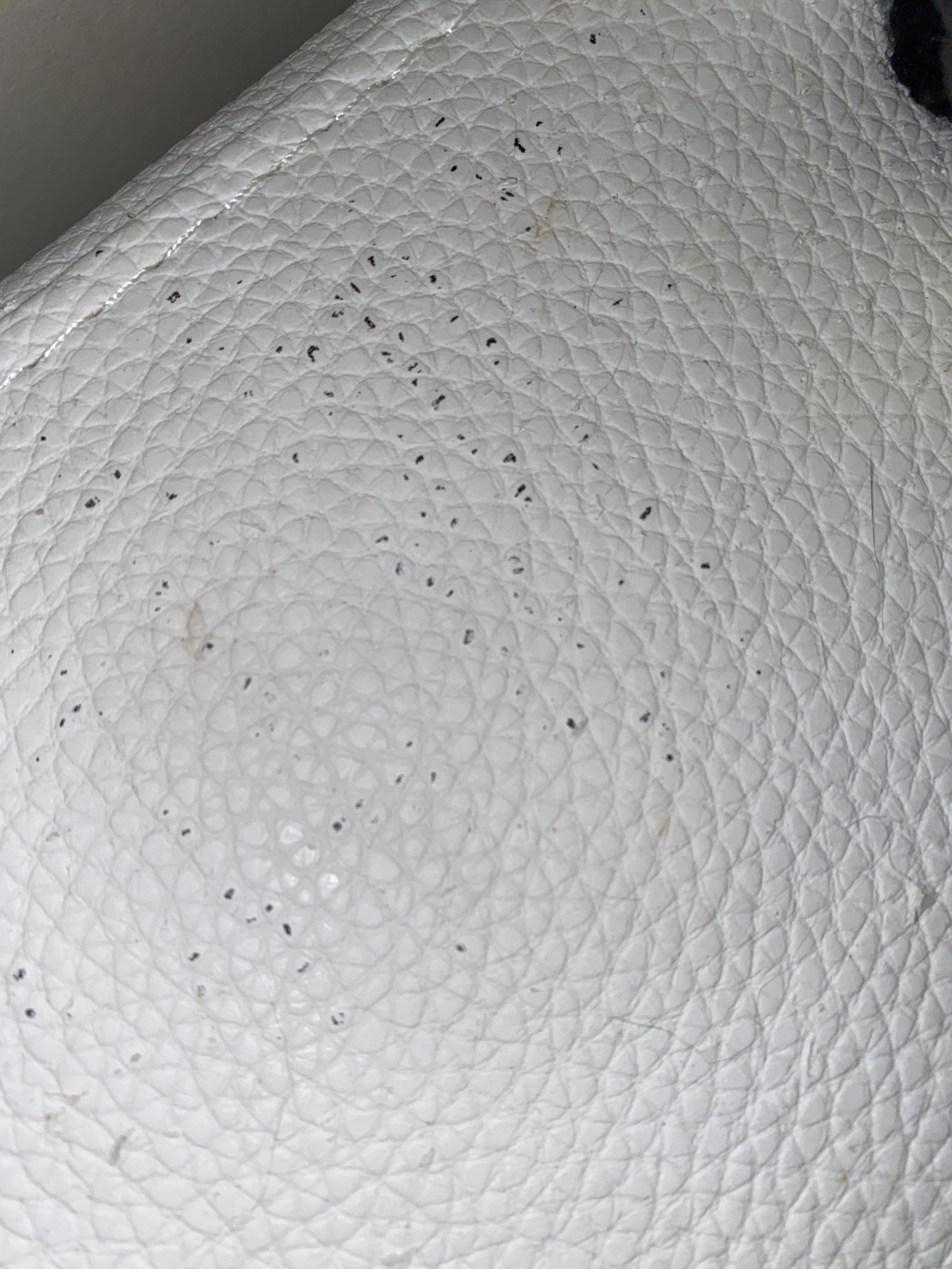 Does this look like bed bug droppings? r/Bedbugs