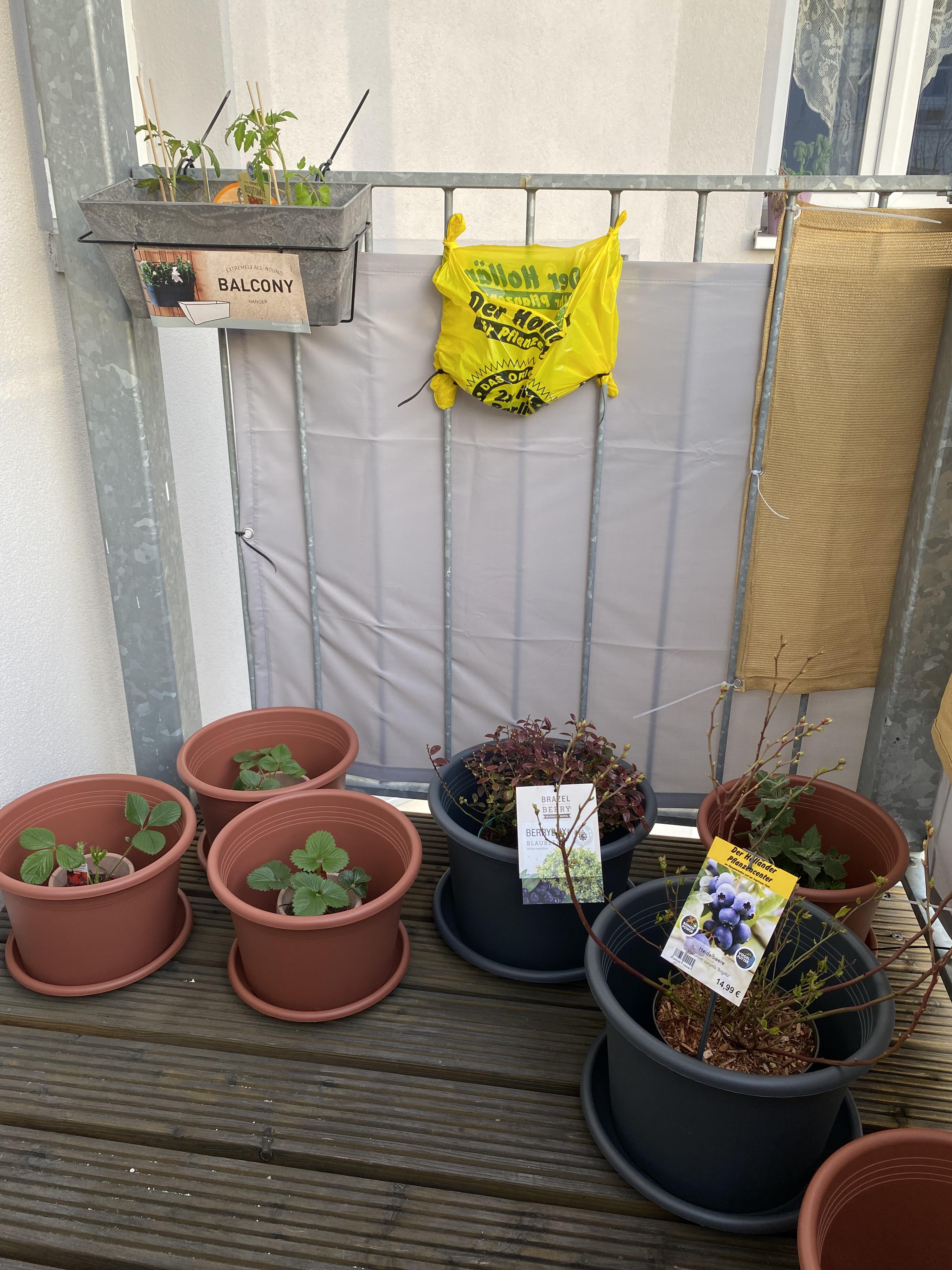 Can I use the soil from the forest for my tomatoes , strawberries in