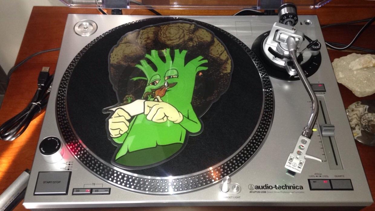 Not sure if I regret this purchase or not... (D.R.A.M. Broccoli Picture