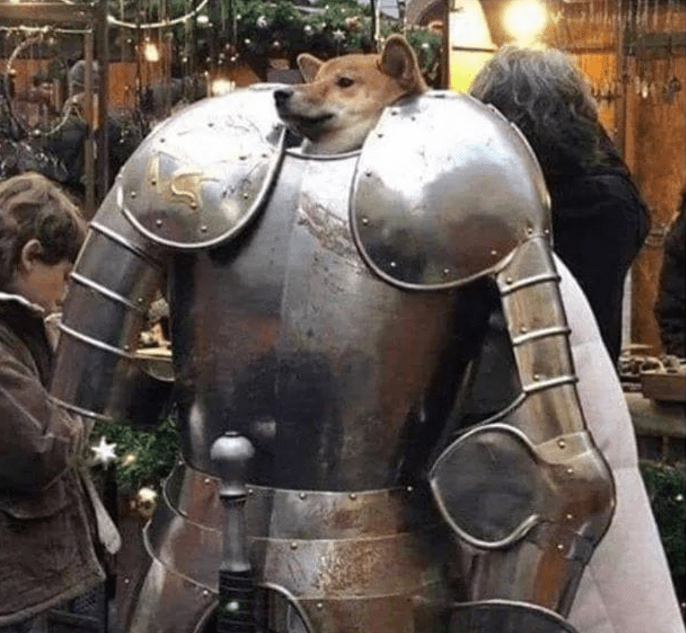 Armour Dog epic companion radiates an aura of defense that halves