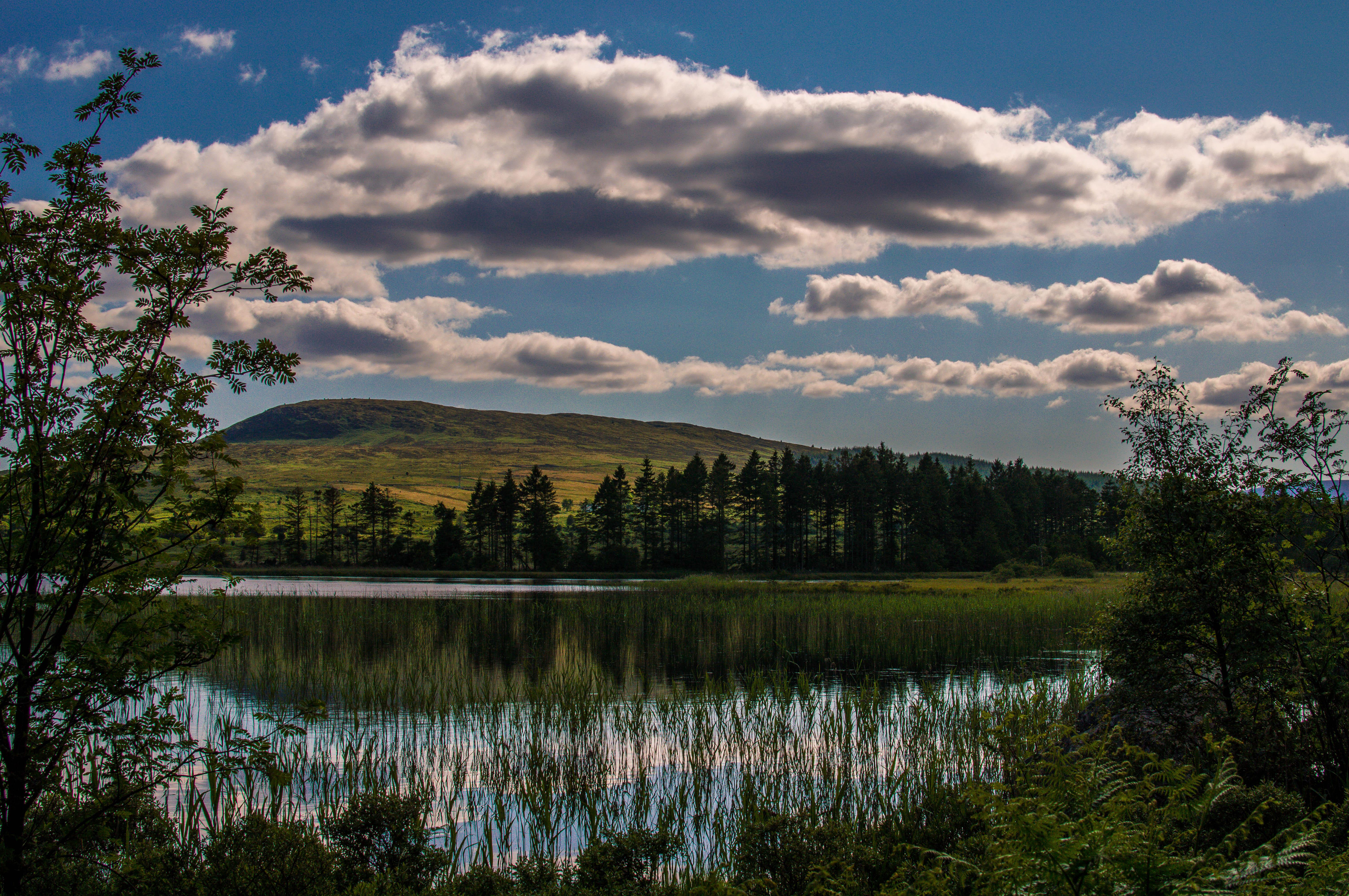 Galloway Forest Park r/Scotland