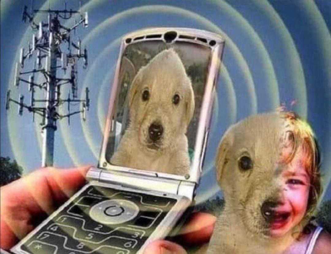 DOGFORMER, Has a 2 chance of turning nonboss enemies into a chubby