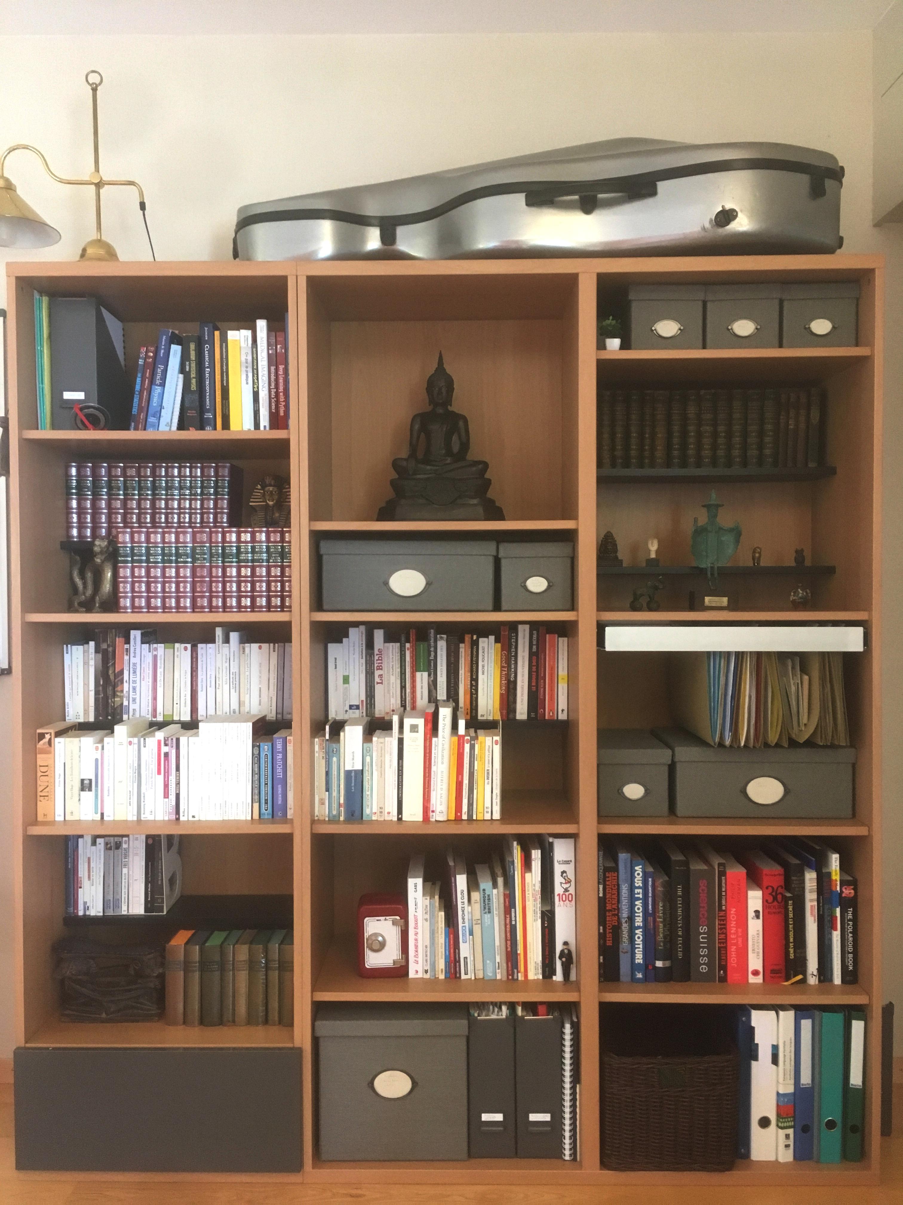 My bookshelf/storage unit. Deep enough for two rows of paperbacks. r