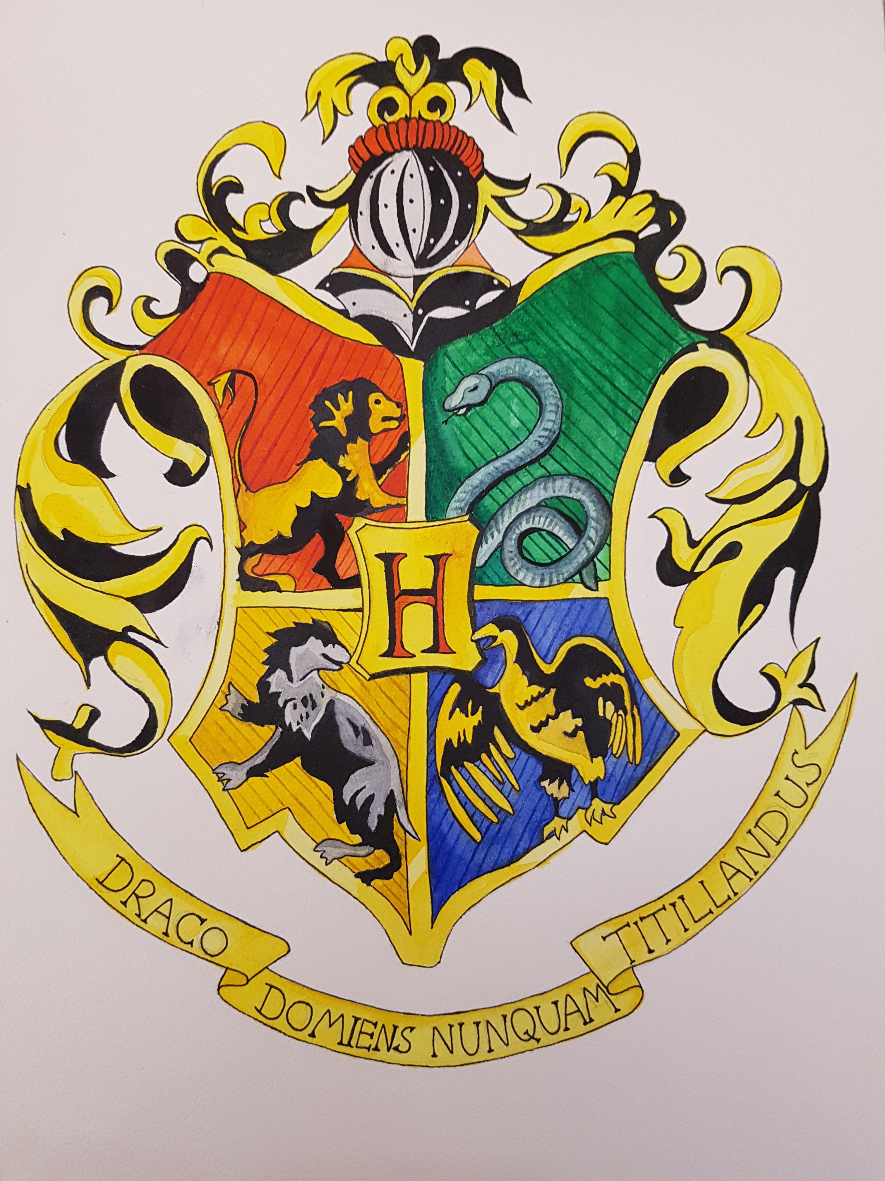 Finally finished my Hogwarts crest! r/harrypotter