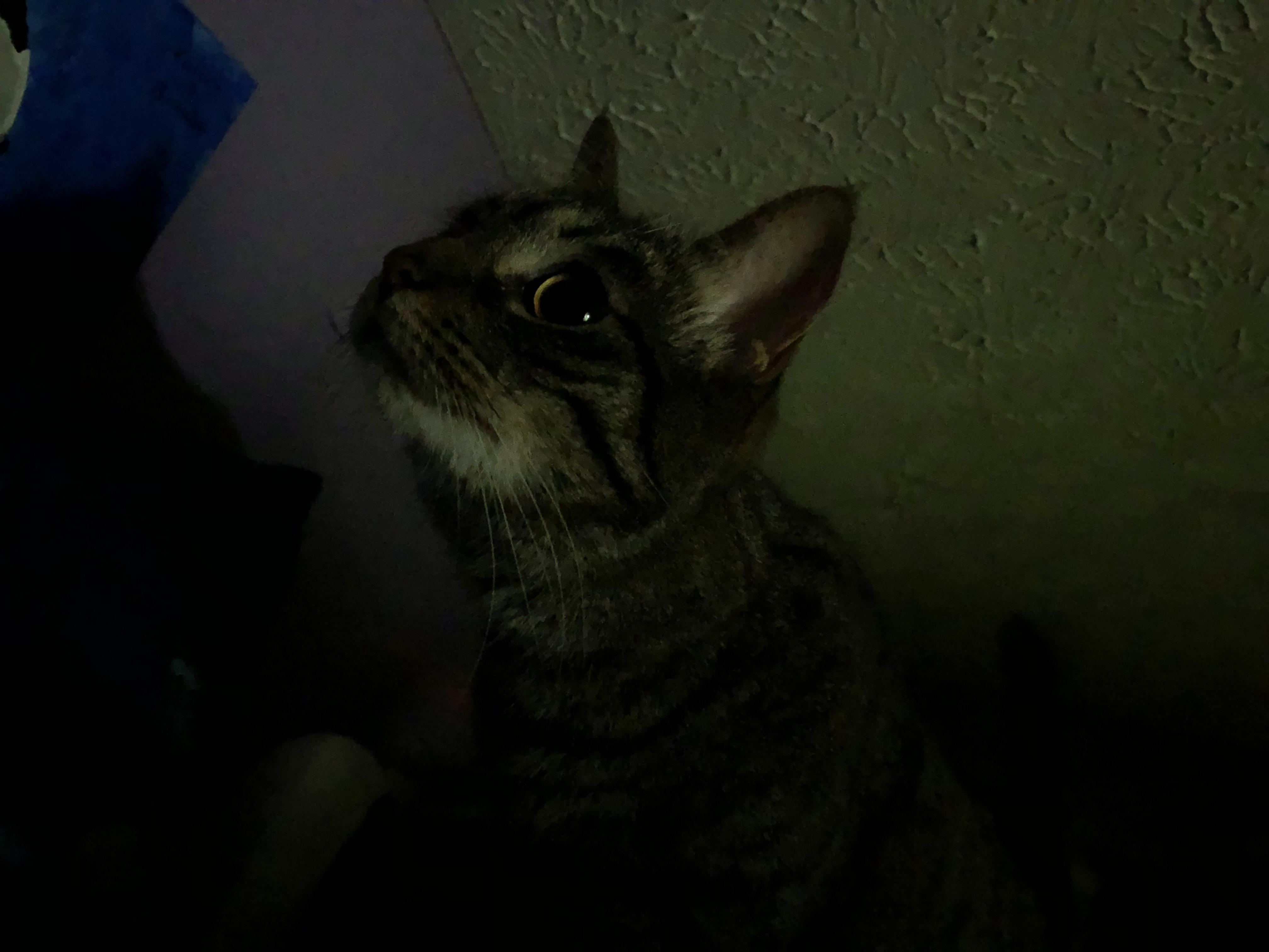 Okay for 1 it’s almost 1 in the morning 2 why are you already