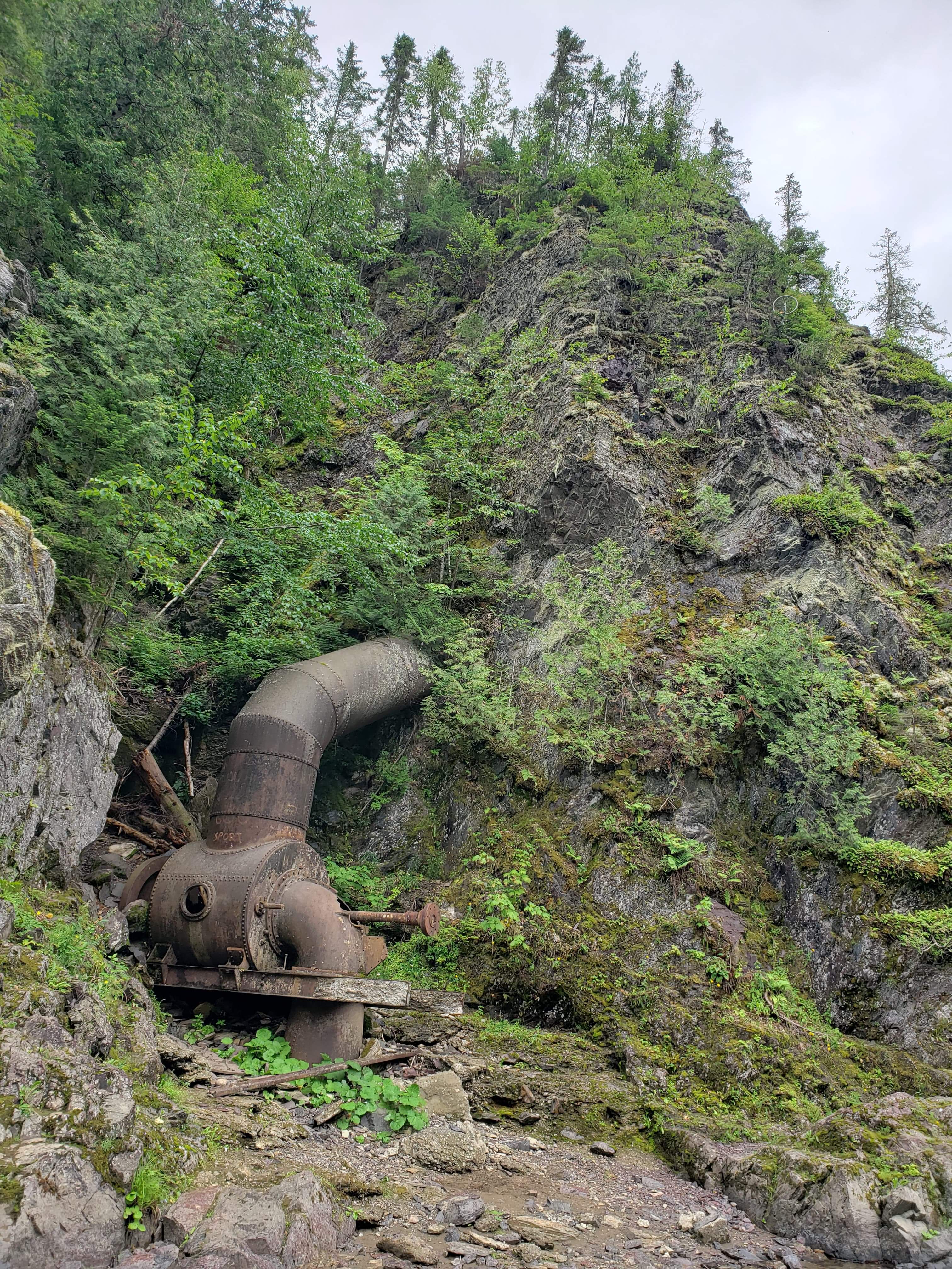 Found near South Tetagouche Falls, N.B. Canada. [3024x4032] [OC] r