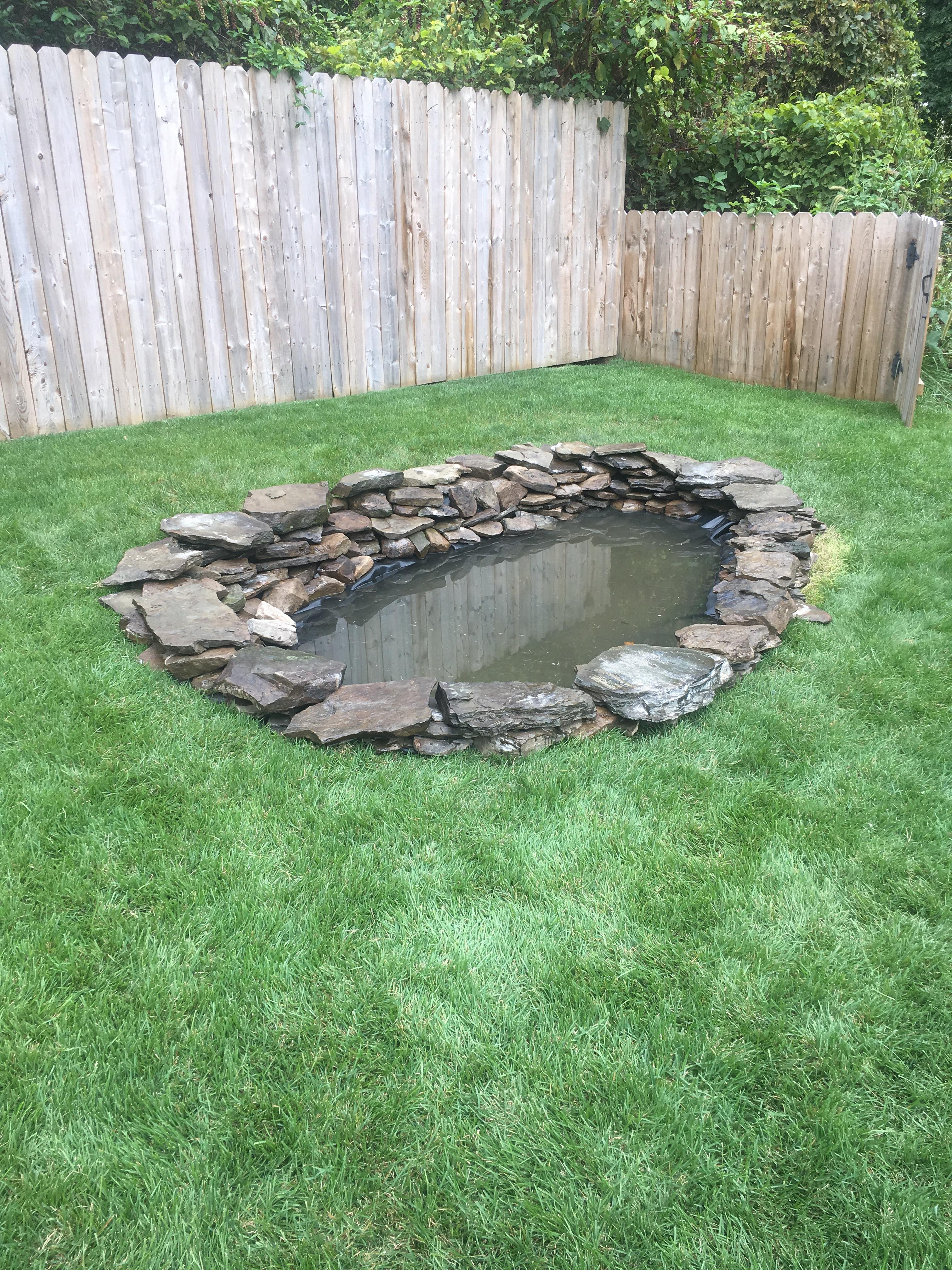 My first pond. r/ponds
