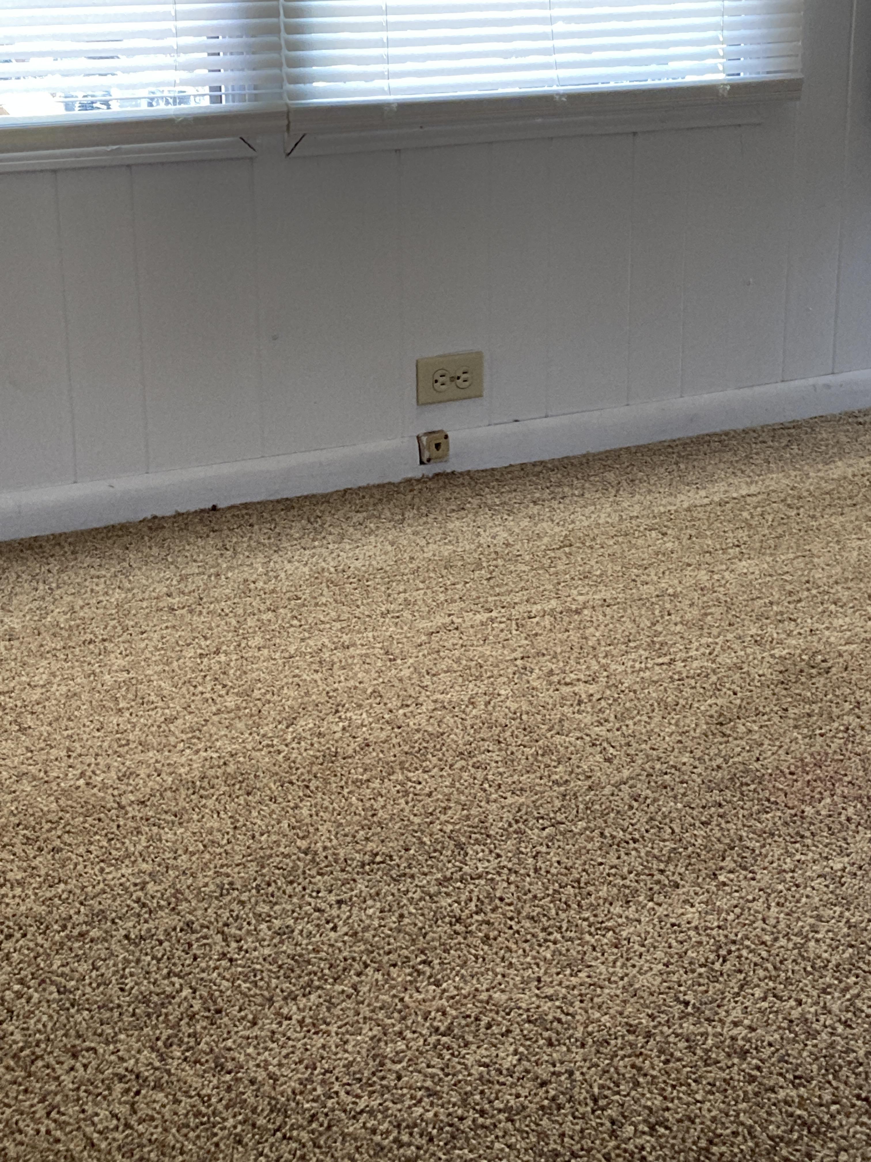 Time for a cat delete, is it worth it? r/electricians