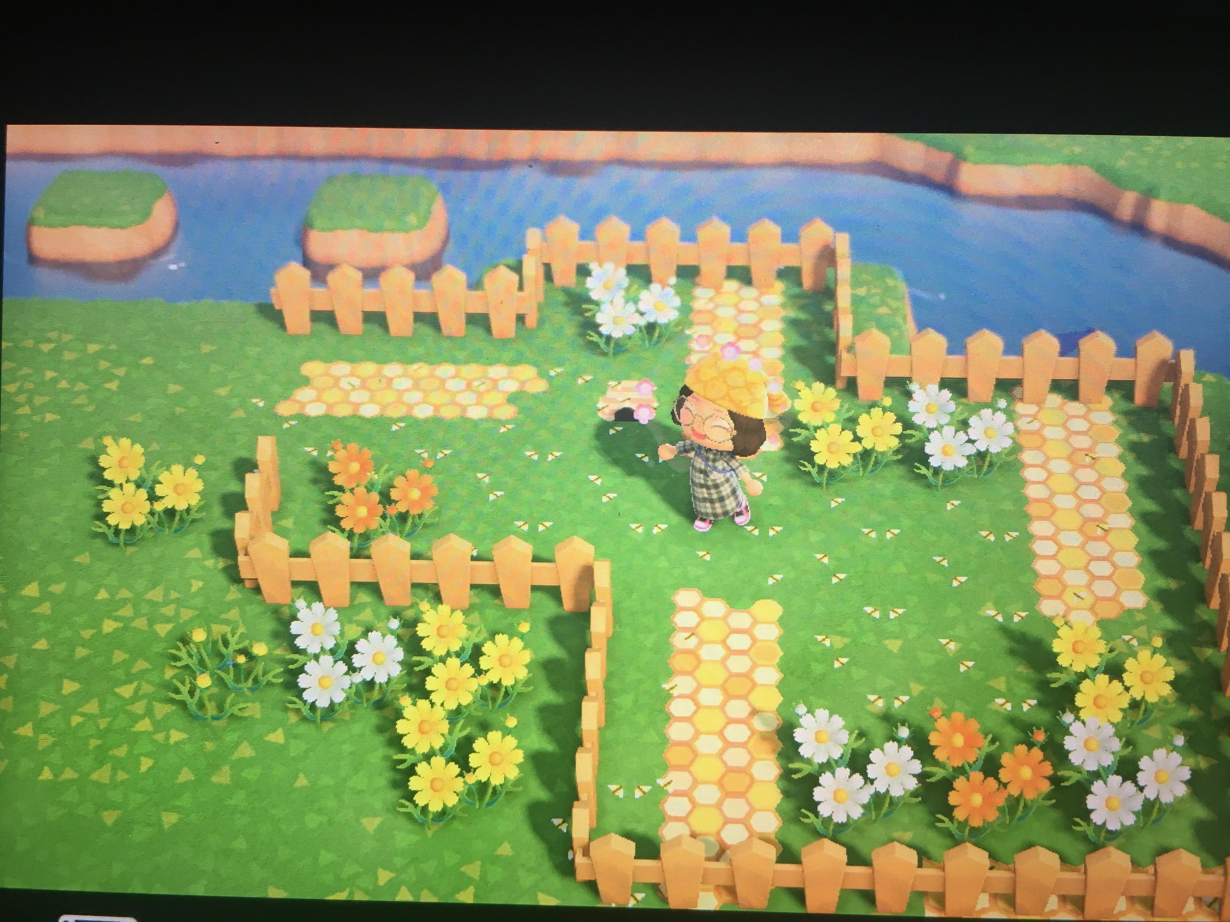 My bee area r/AnimalCrossing