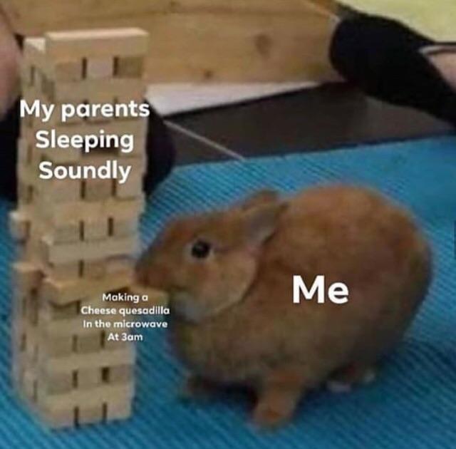 Bunny meme anyone? Rabbits