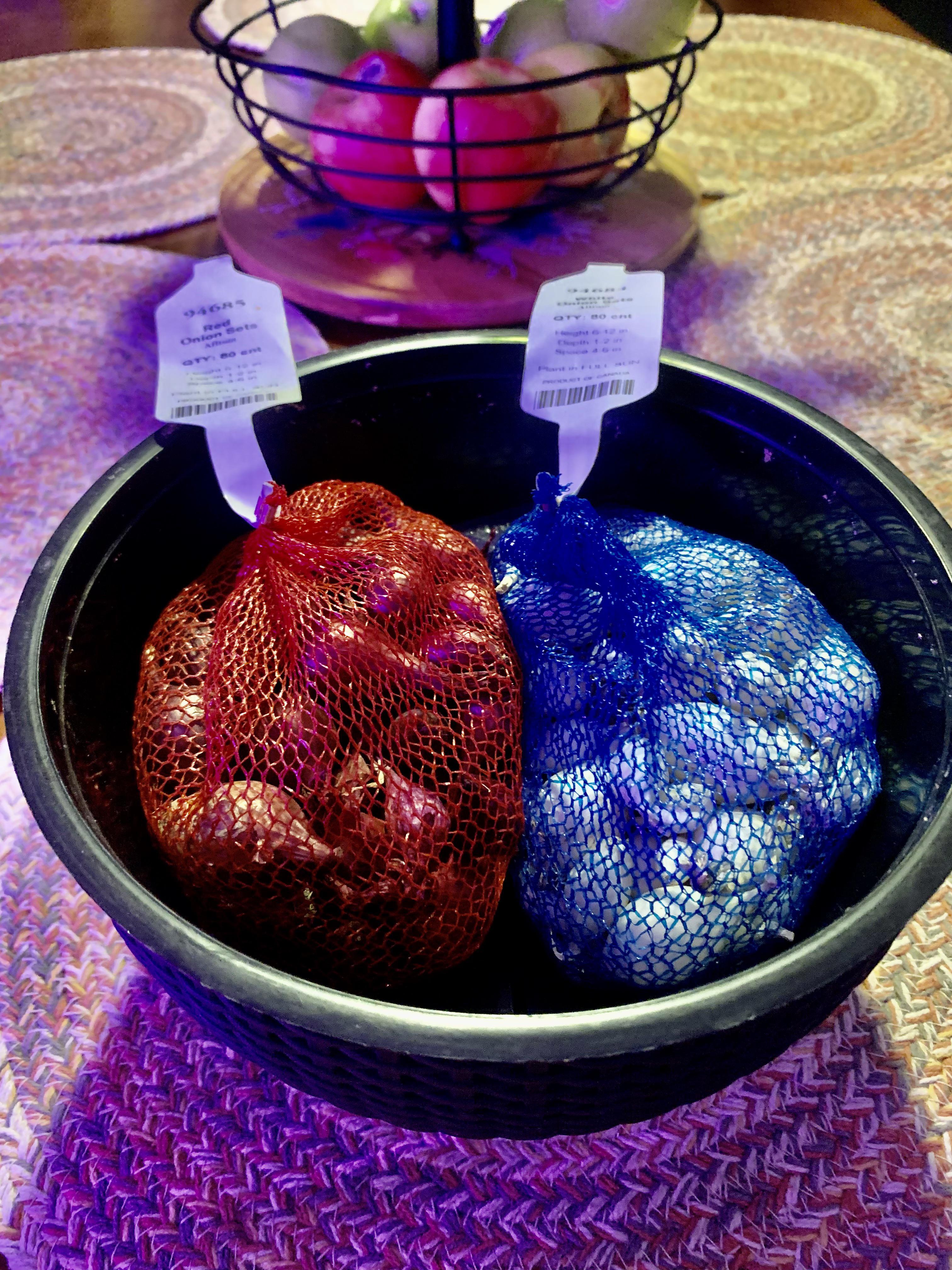 Zone 6b, Kentucky. I have a 12x5 section of the yard ready to till up