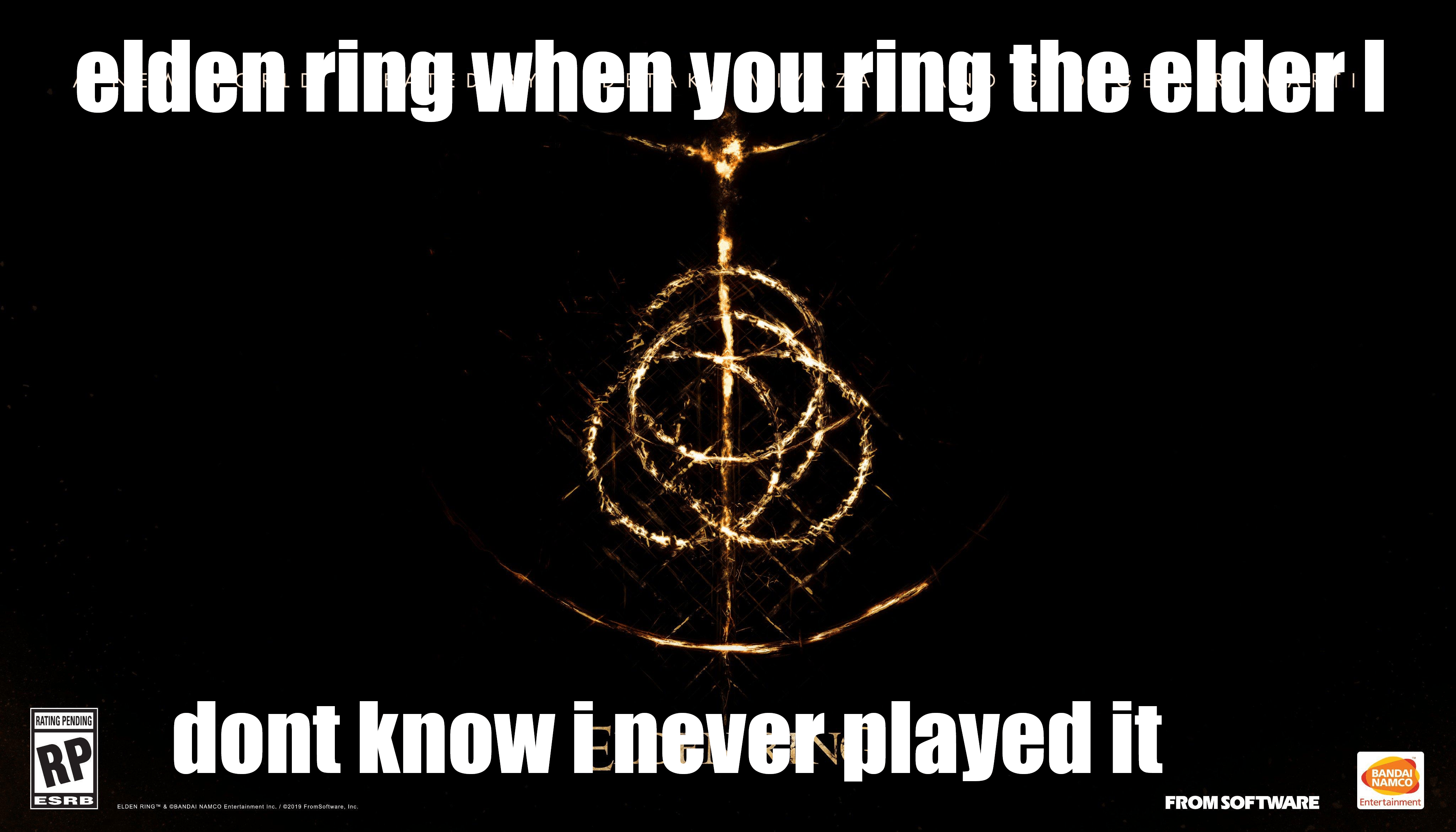 Wish I had a PC 2 to play it right now ( Eldenring