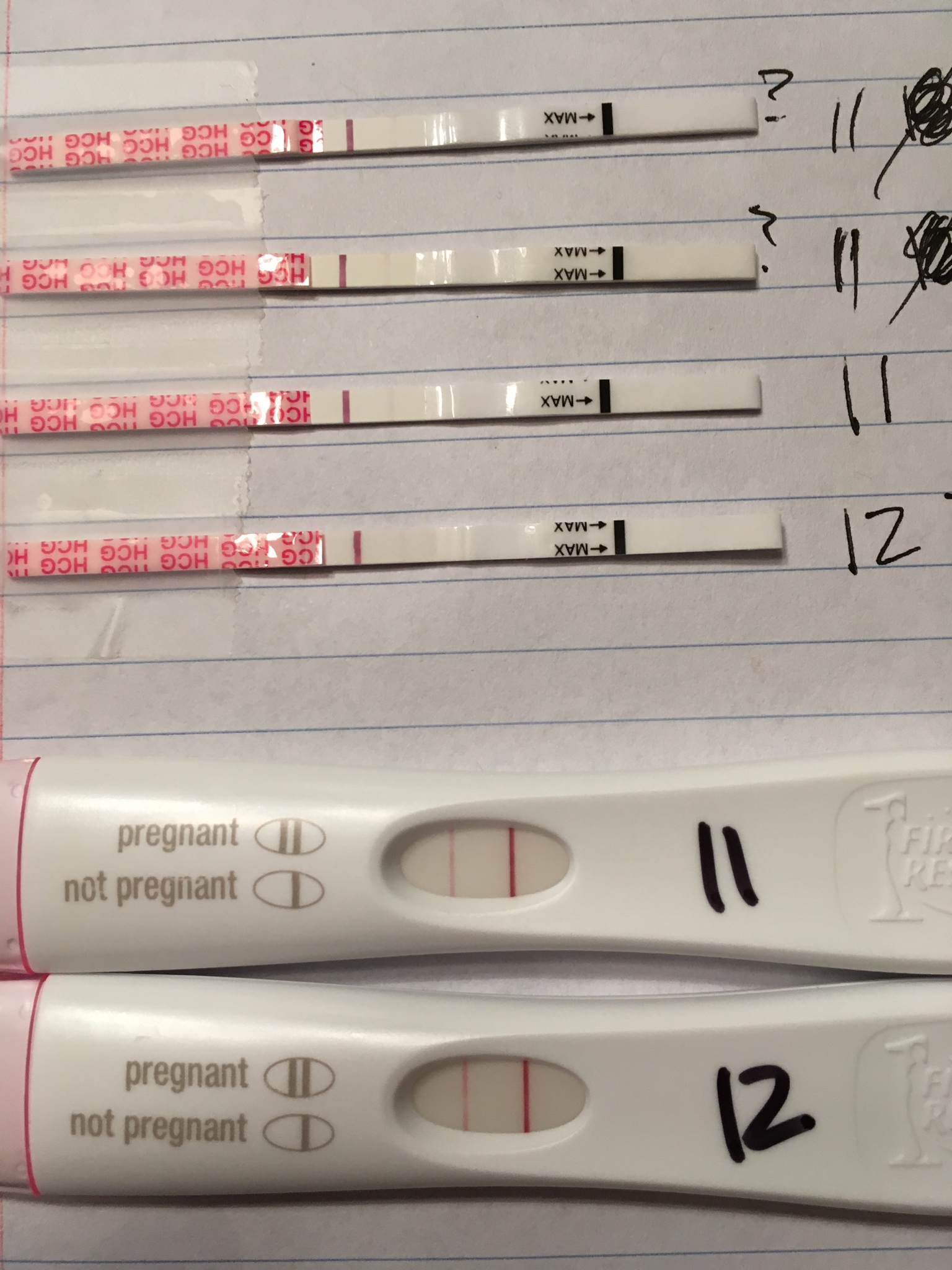False Positive Wondfo Pregnancy Test pregnancy test
