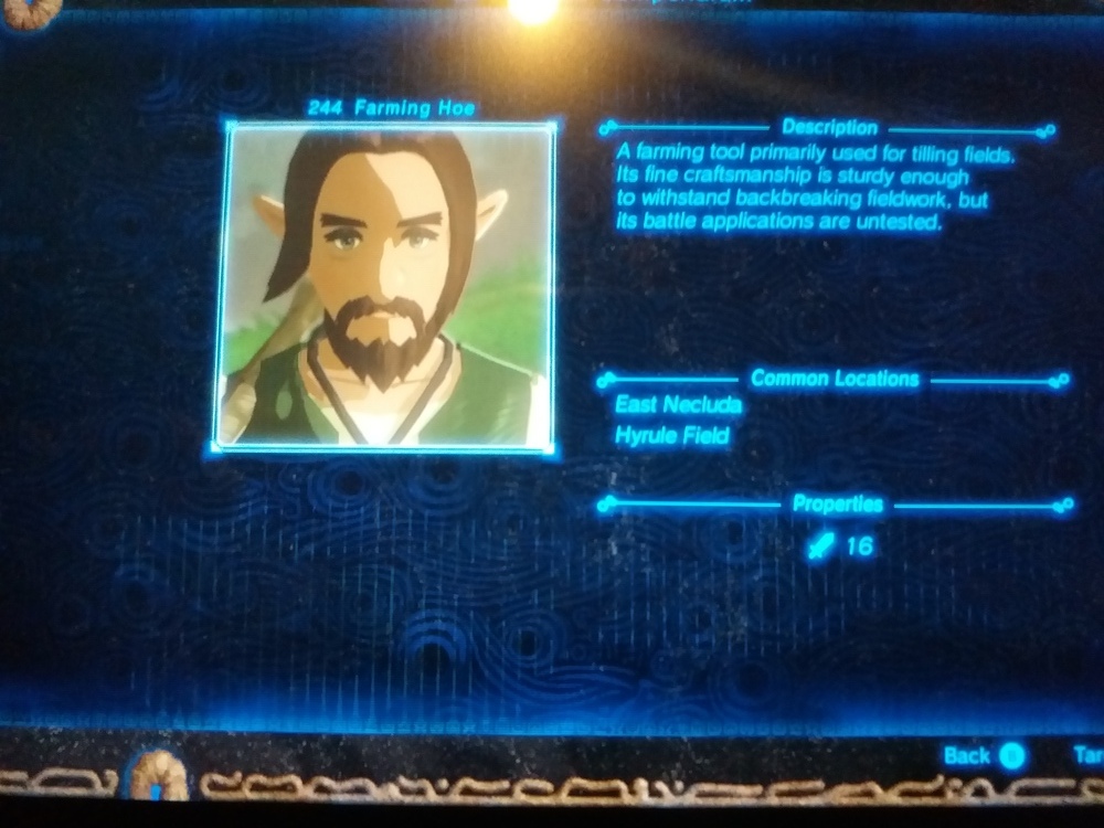 my 'farming hoe' (follow up to heyheydontdothat's post) r/Breath_of