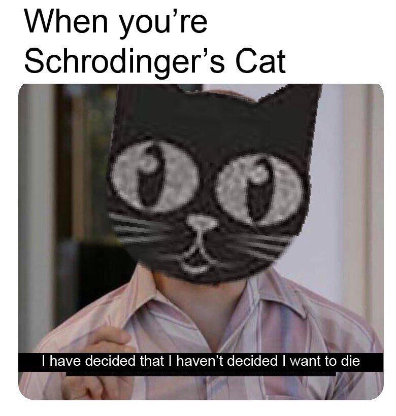 Schrödingers Cat Meme Captions Hunter