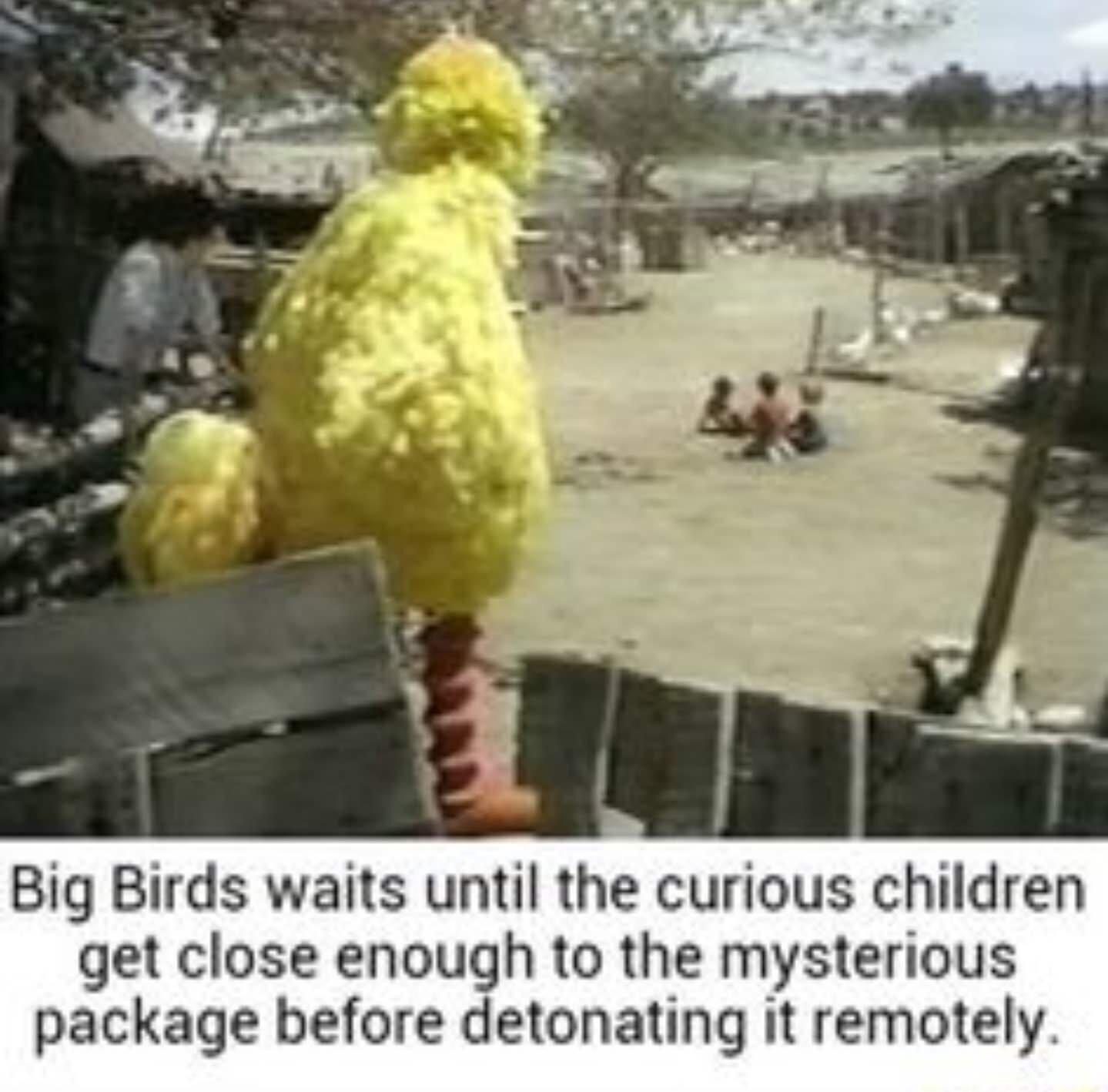 Learning with Big Bird memes