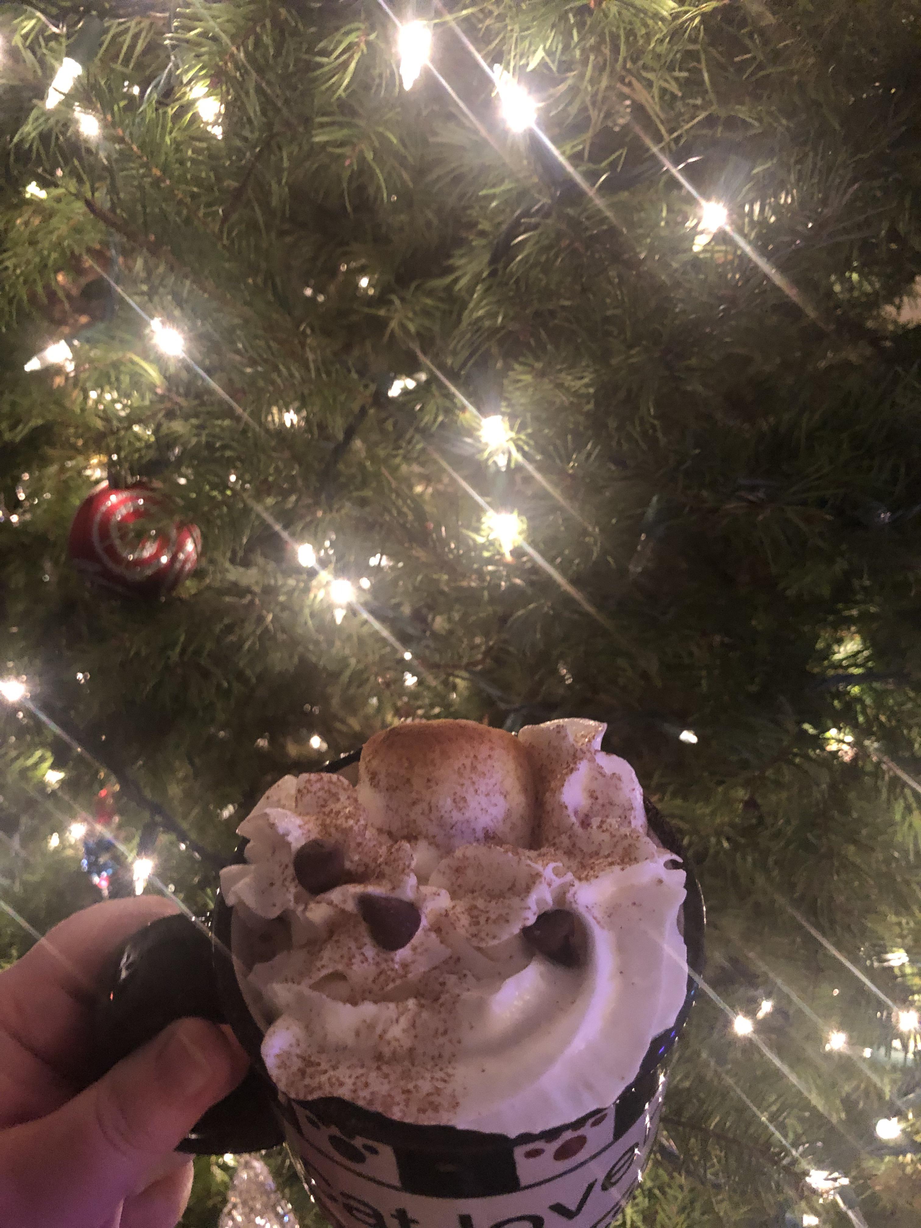 Hot chocolate with a toasted marshmallow r/homecooking