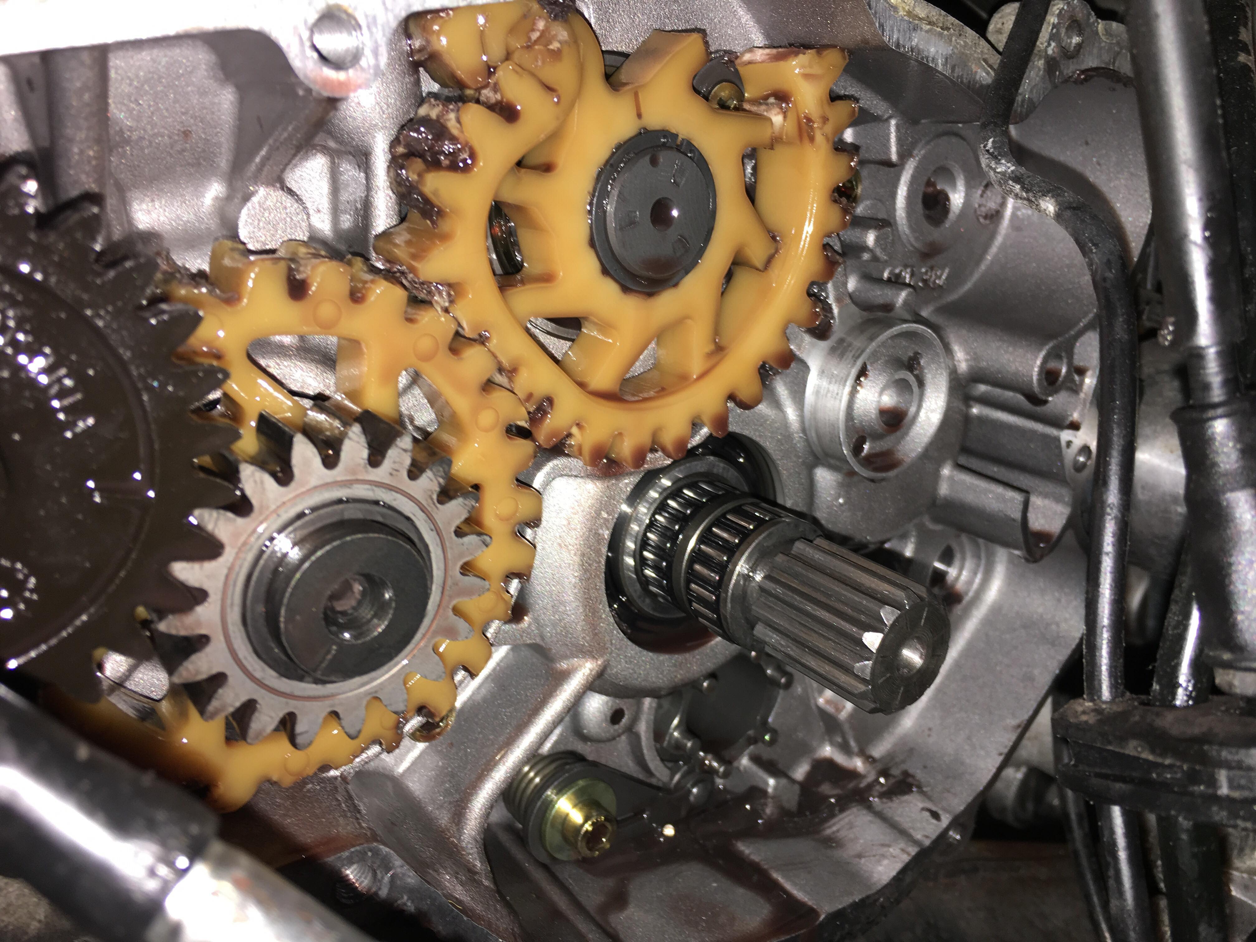 Are the balance shaft gears okay on my bike? r/motorcycles