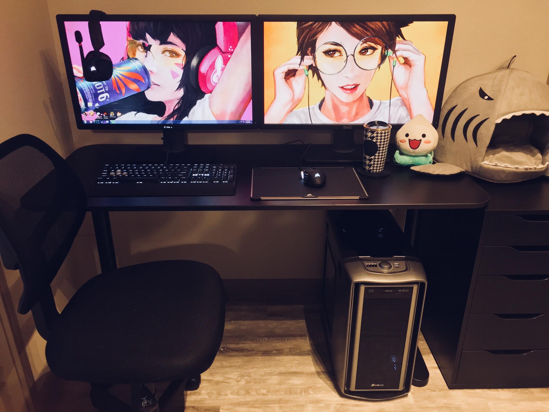 Finally happy with my battlestation ) r/GirlGamers