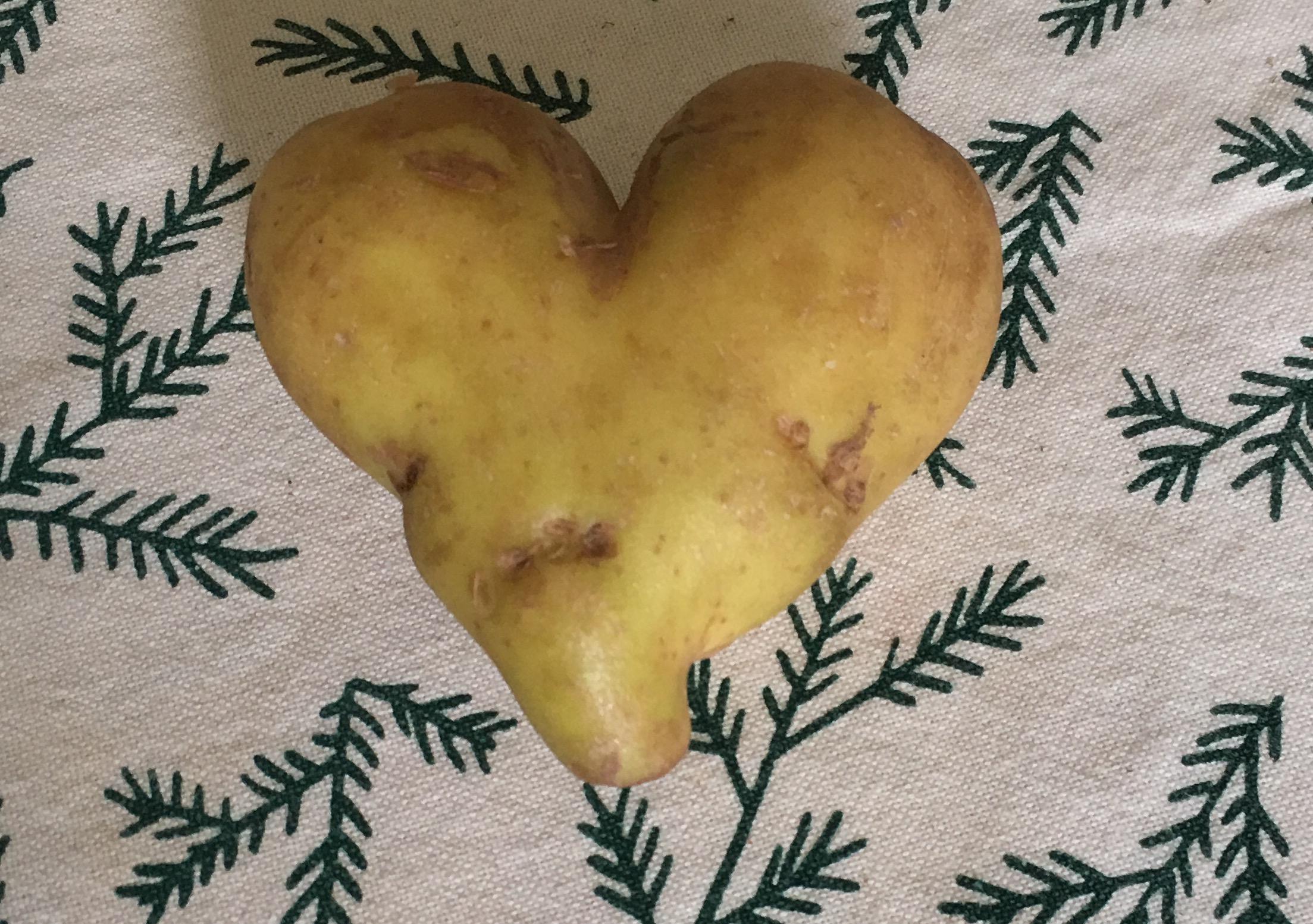 Potato shaped like a heart r/mildlyinteresting