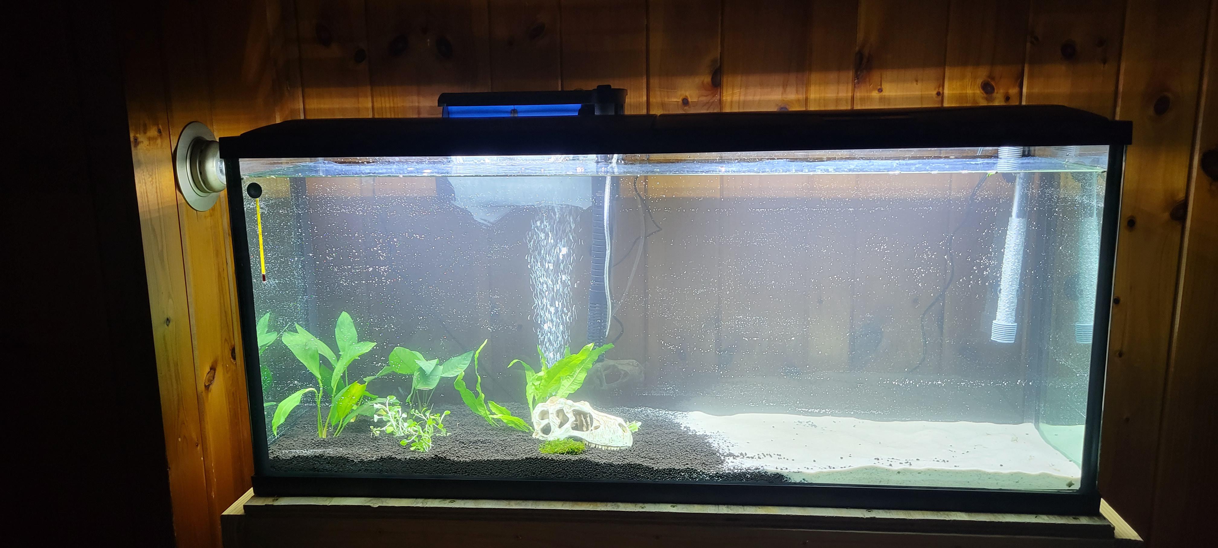 55 gallon with fluval stratum, sand, and live plants. Going to start