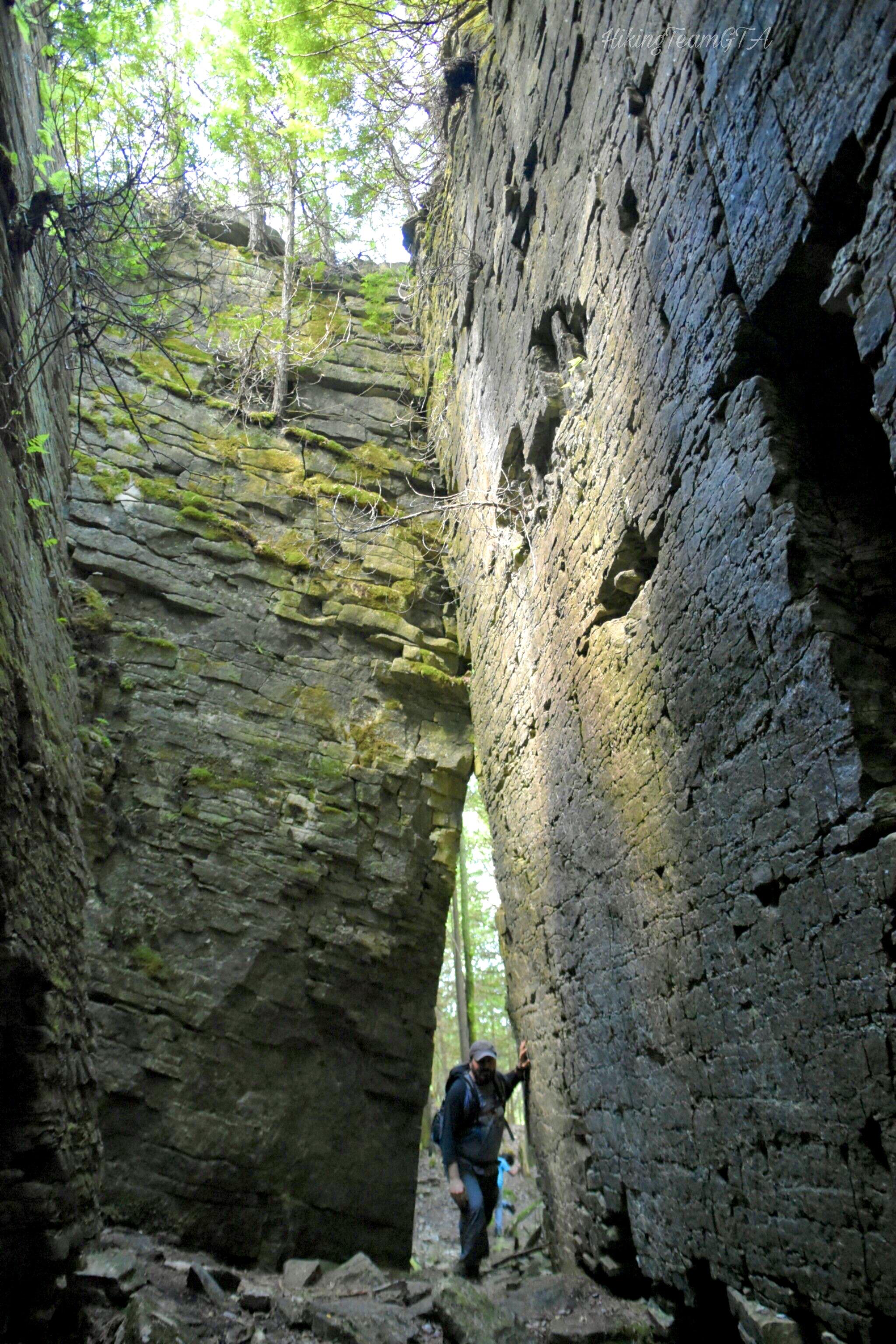 Playing Amongst Giants Sydenham section, Bruce Trail, Owen Sound