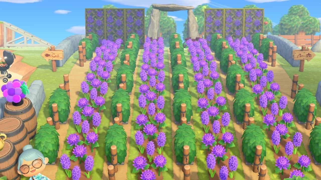 had a fun time making this vineyard! r/AnimalCrossing