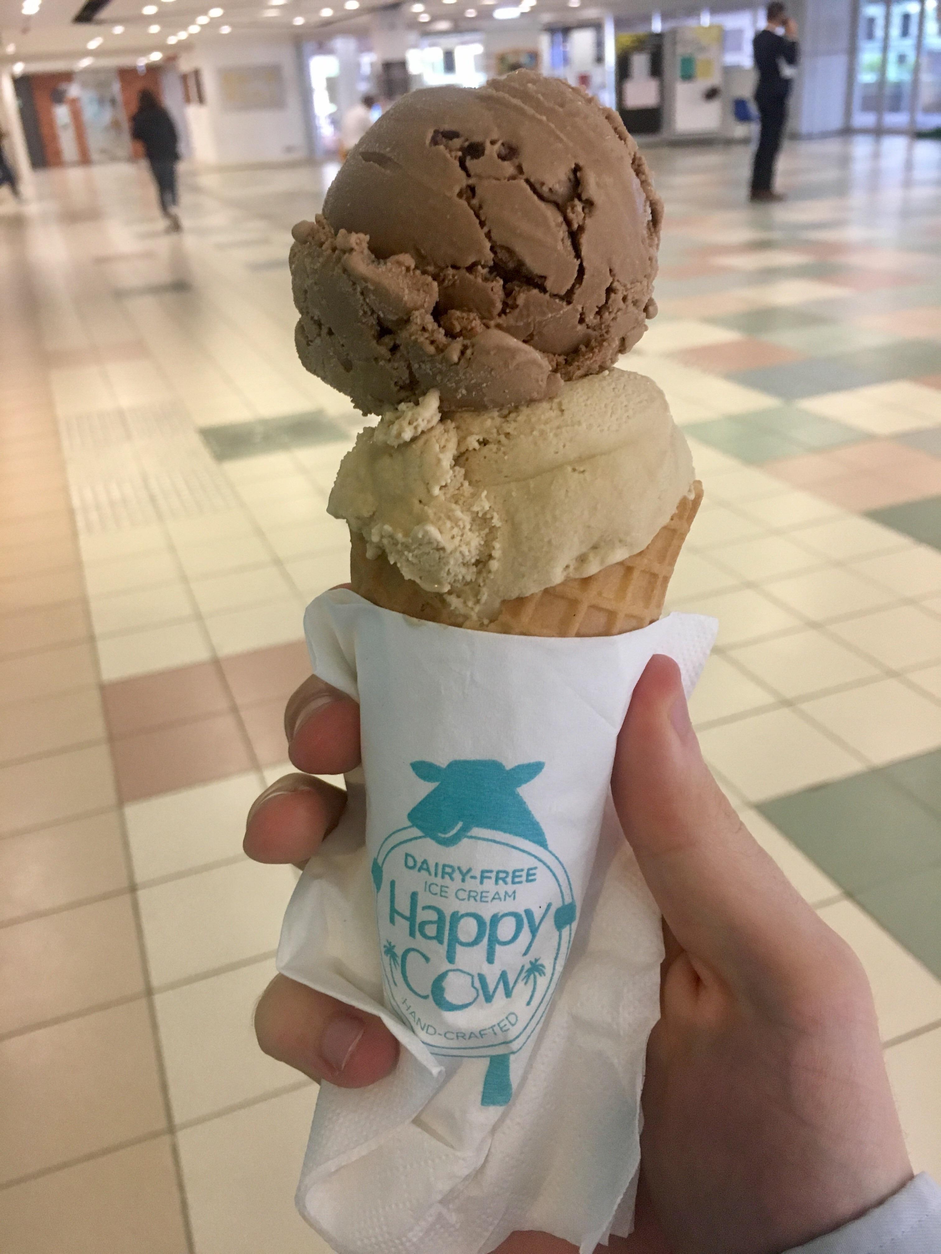 A new Happy Cow vegan ice cream shop just opened up on the University