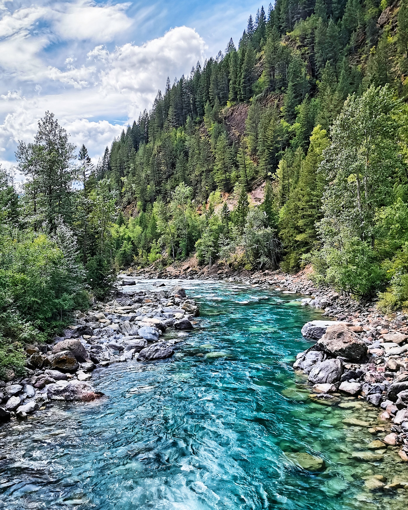 Crystal clear waters of the Bull River, BC, Canada. [1396x2048] [OC