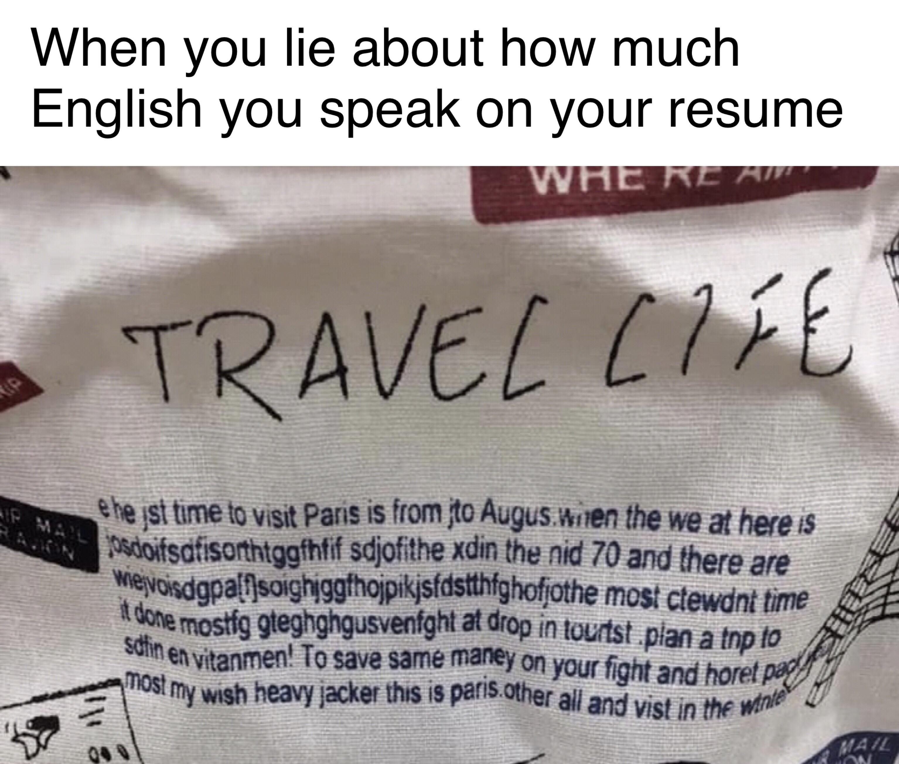 Fake Resume Meme BEST RESUME EXAMPLES