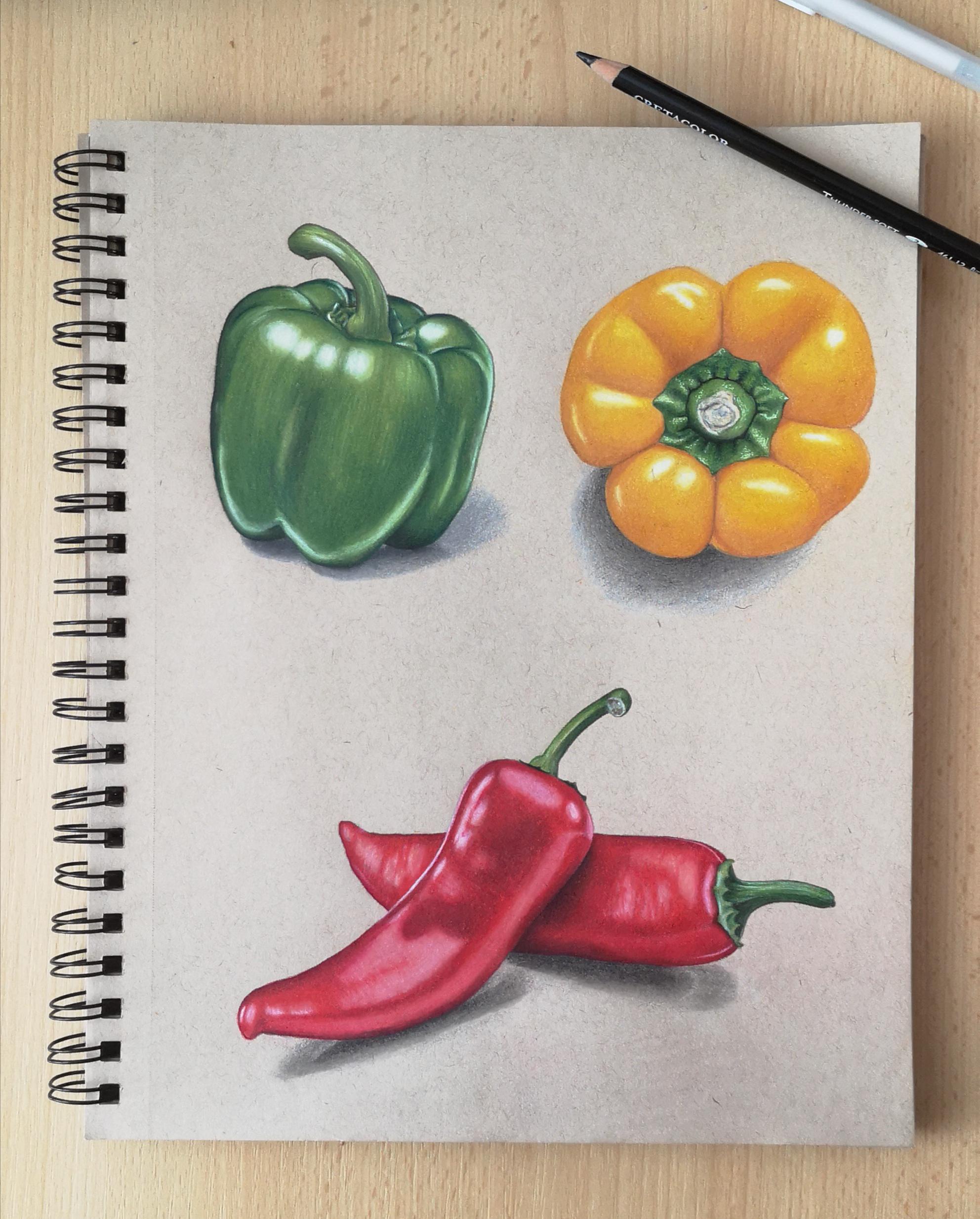 Colored pencils on toned paper. r/drawing