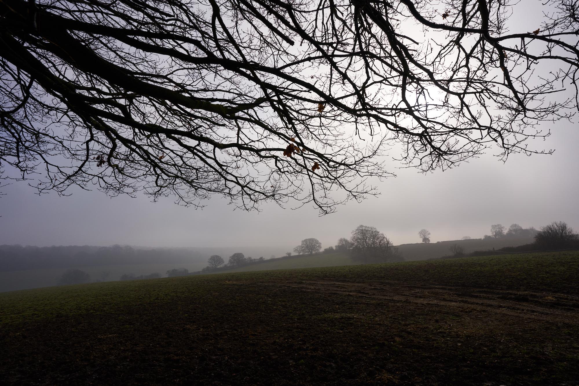 Misty morning walk in the Chiltern Hills, near Berkhamsted, UK OC (2000x1344) EarthPorn