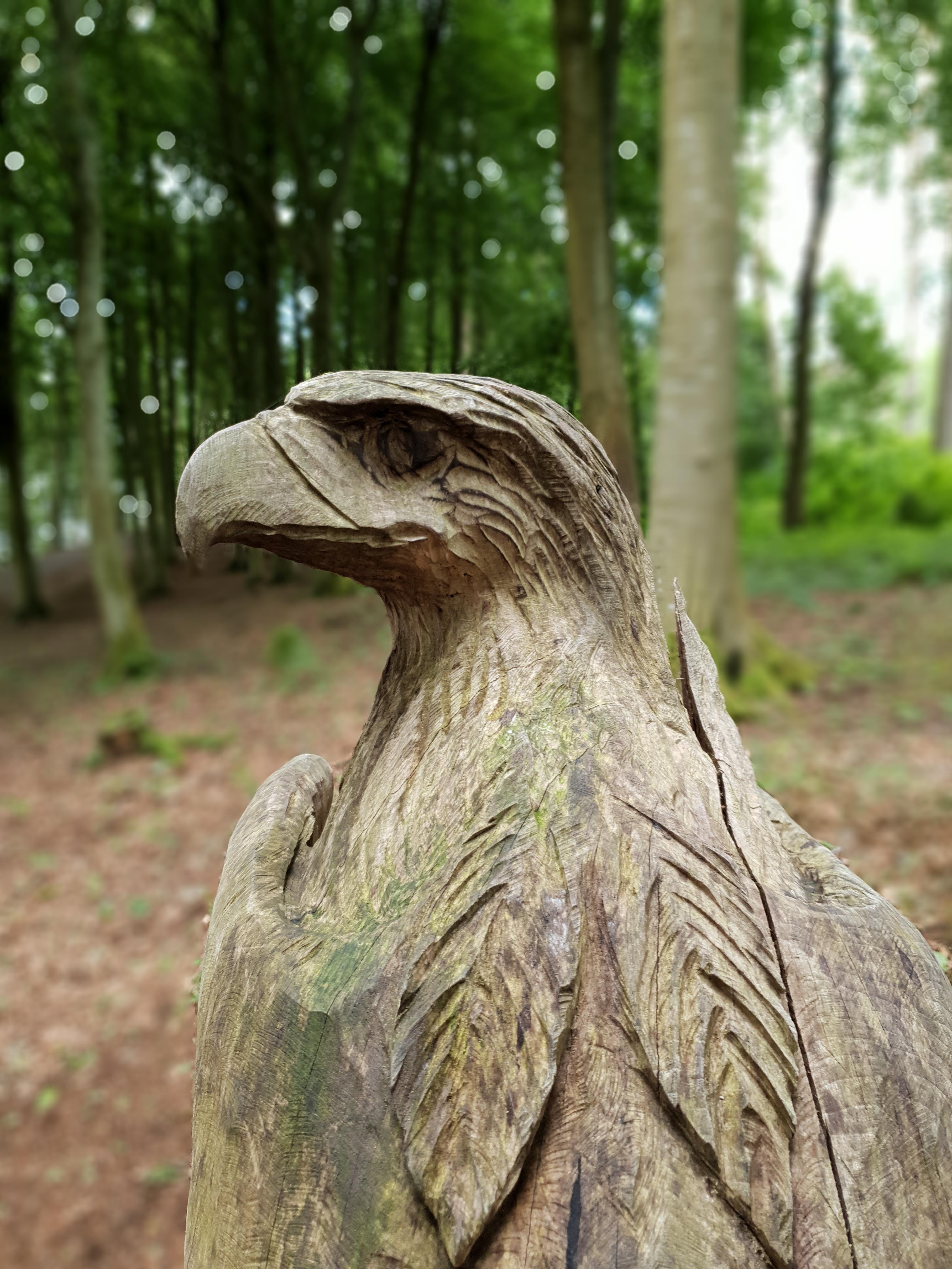 ITAP Wooden Eagle Sculpture In a Country Park r/itookapicture