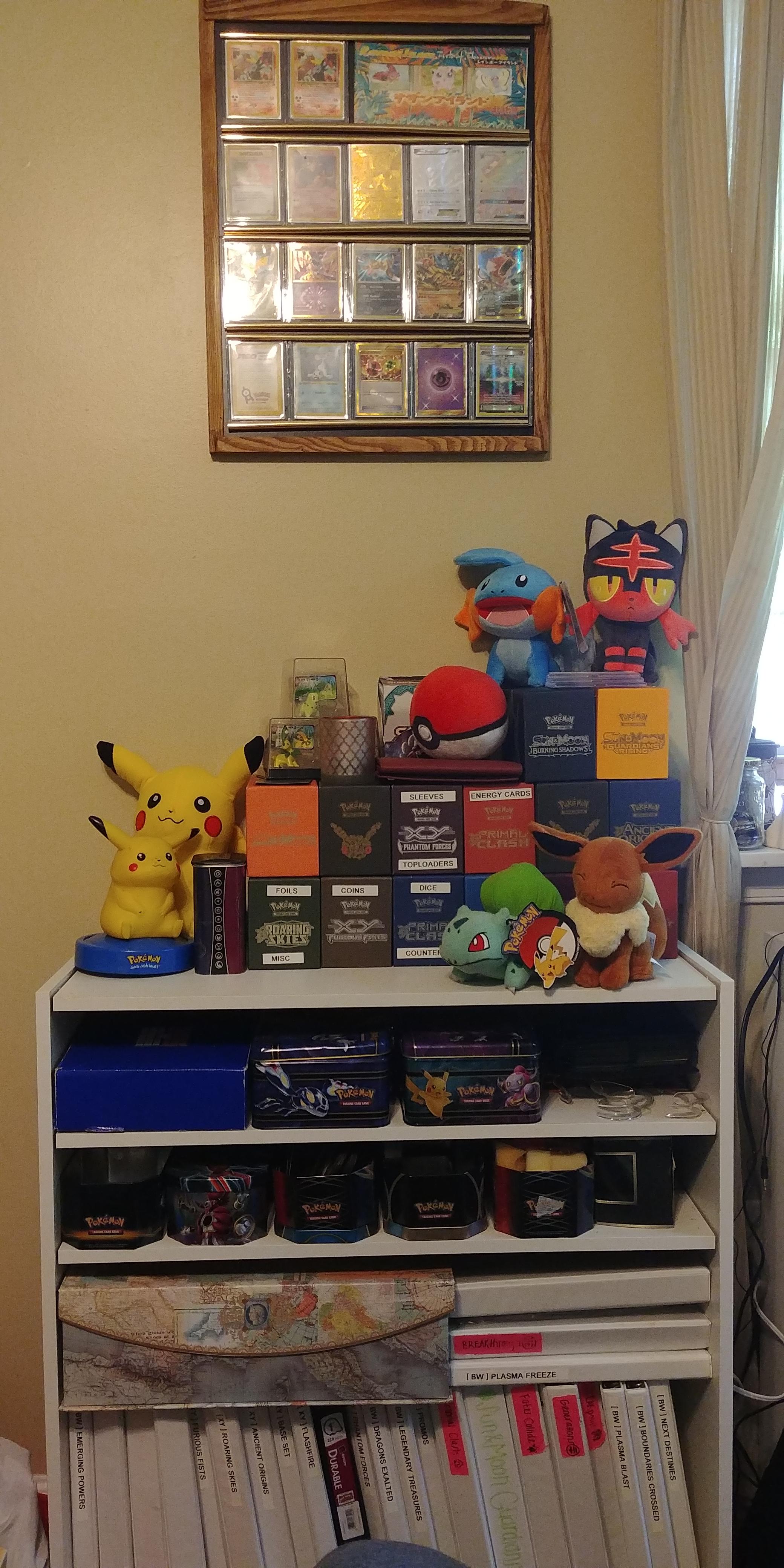 I love my pokemon card collection display. 💓 r/pkmntcgcollections