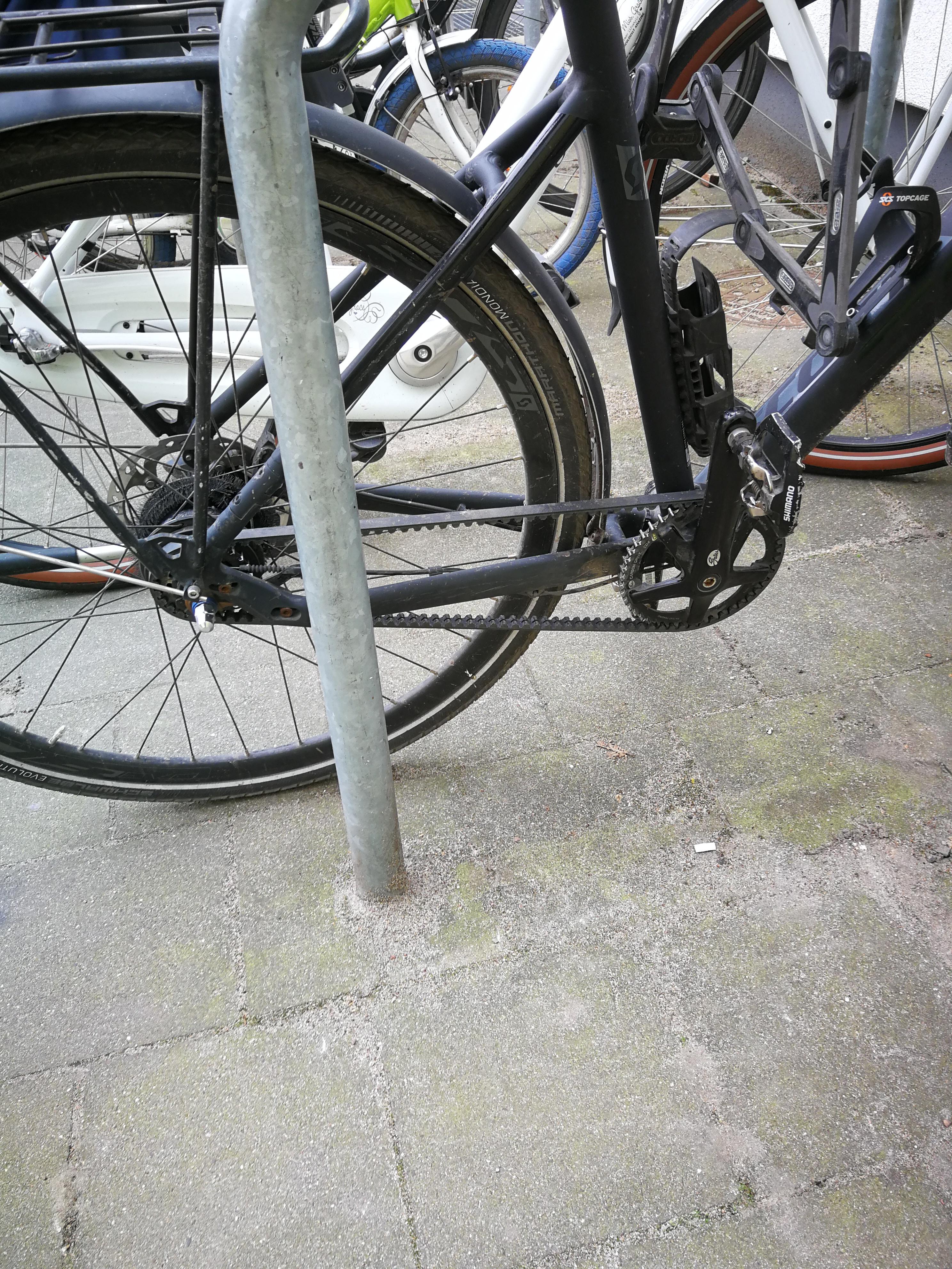 This bike with a belt drive r/mildlyinteresting