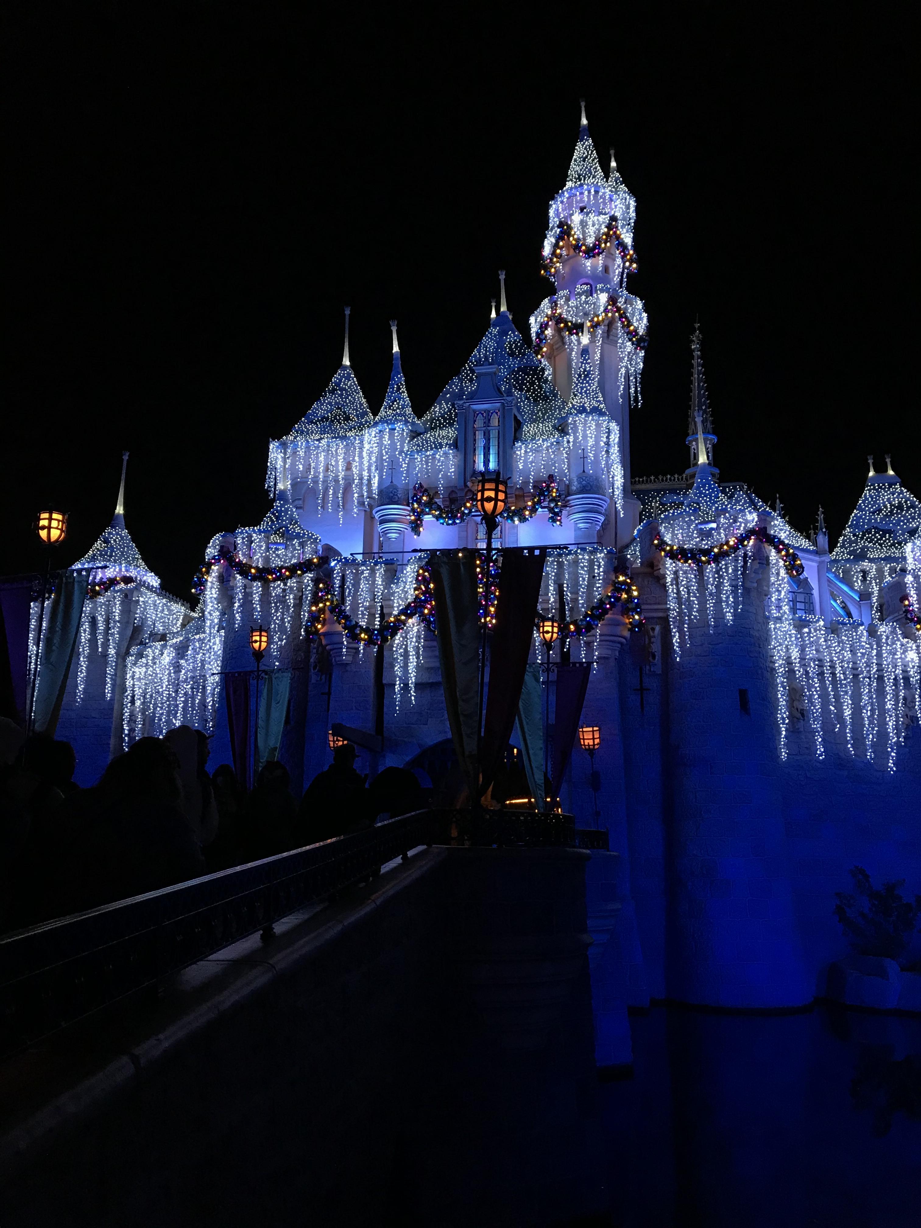 My first time at Disneyland to see the holiday decorations was amazing