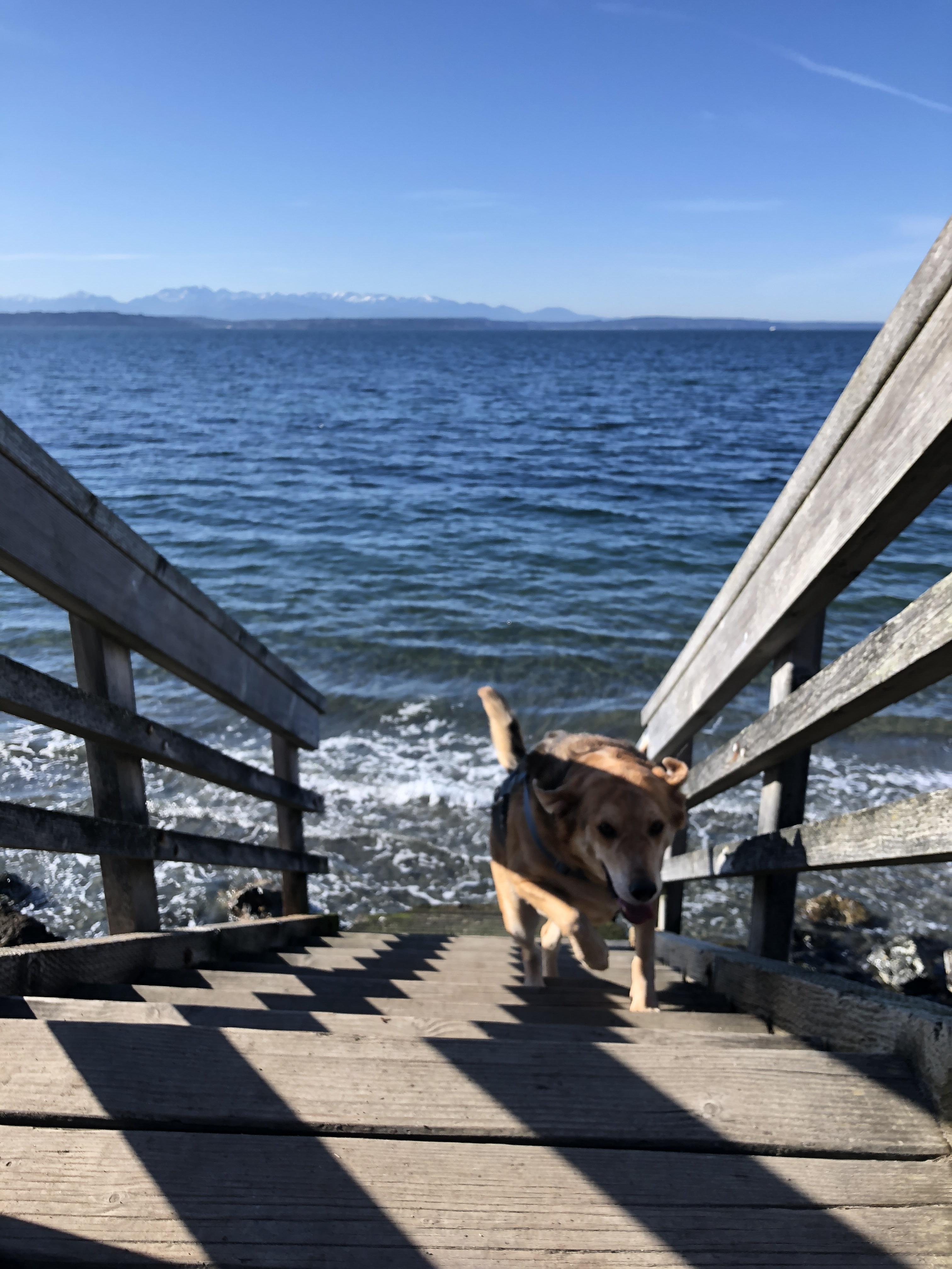 Reddit Dive into anything