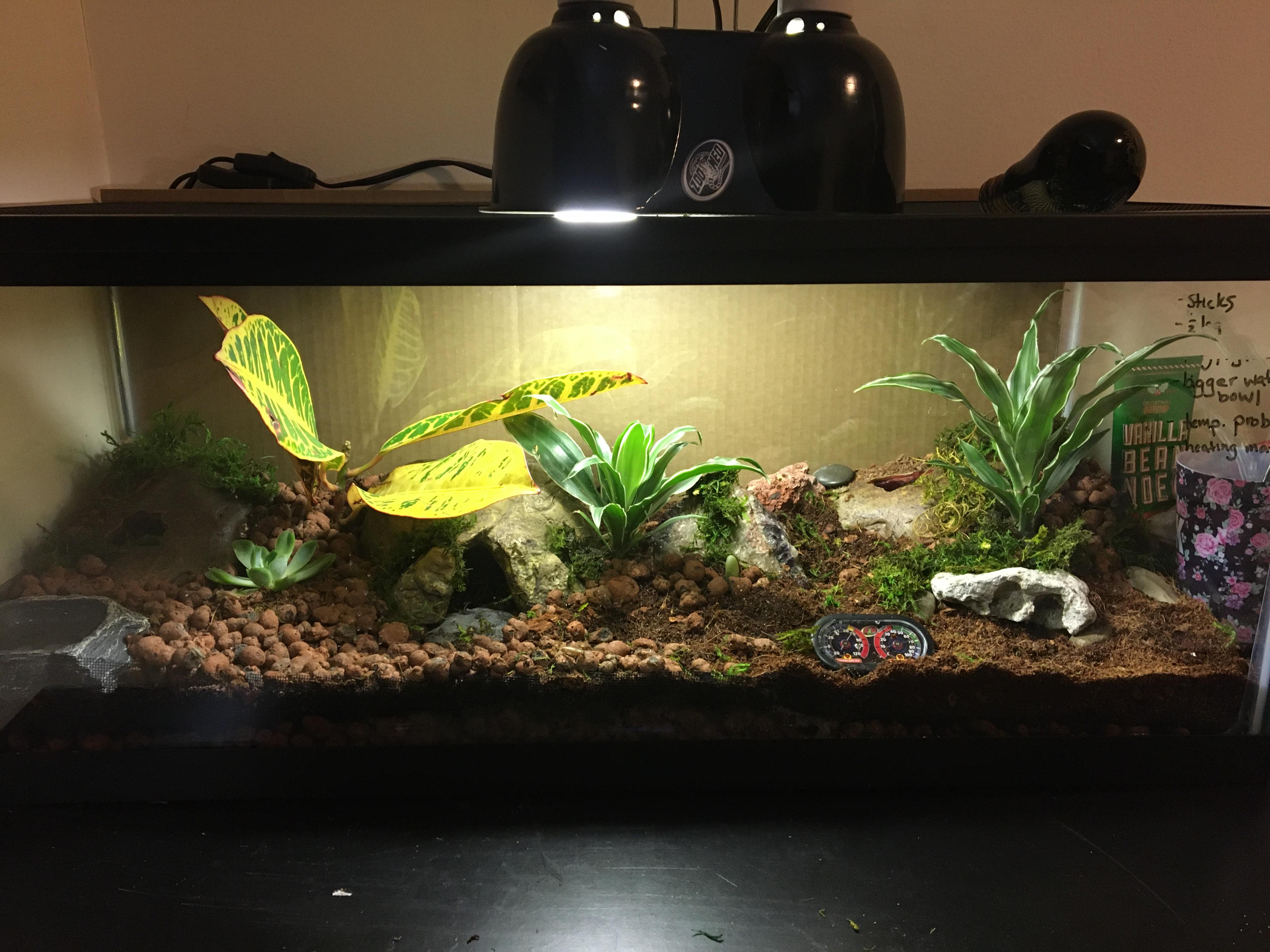 Still waiting on a temp probe in the mail but here's my