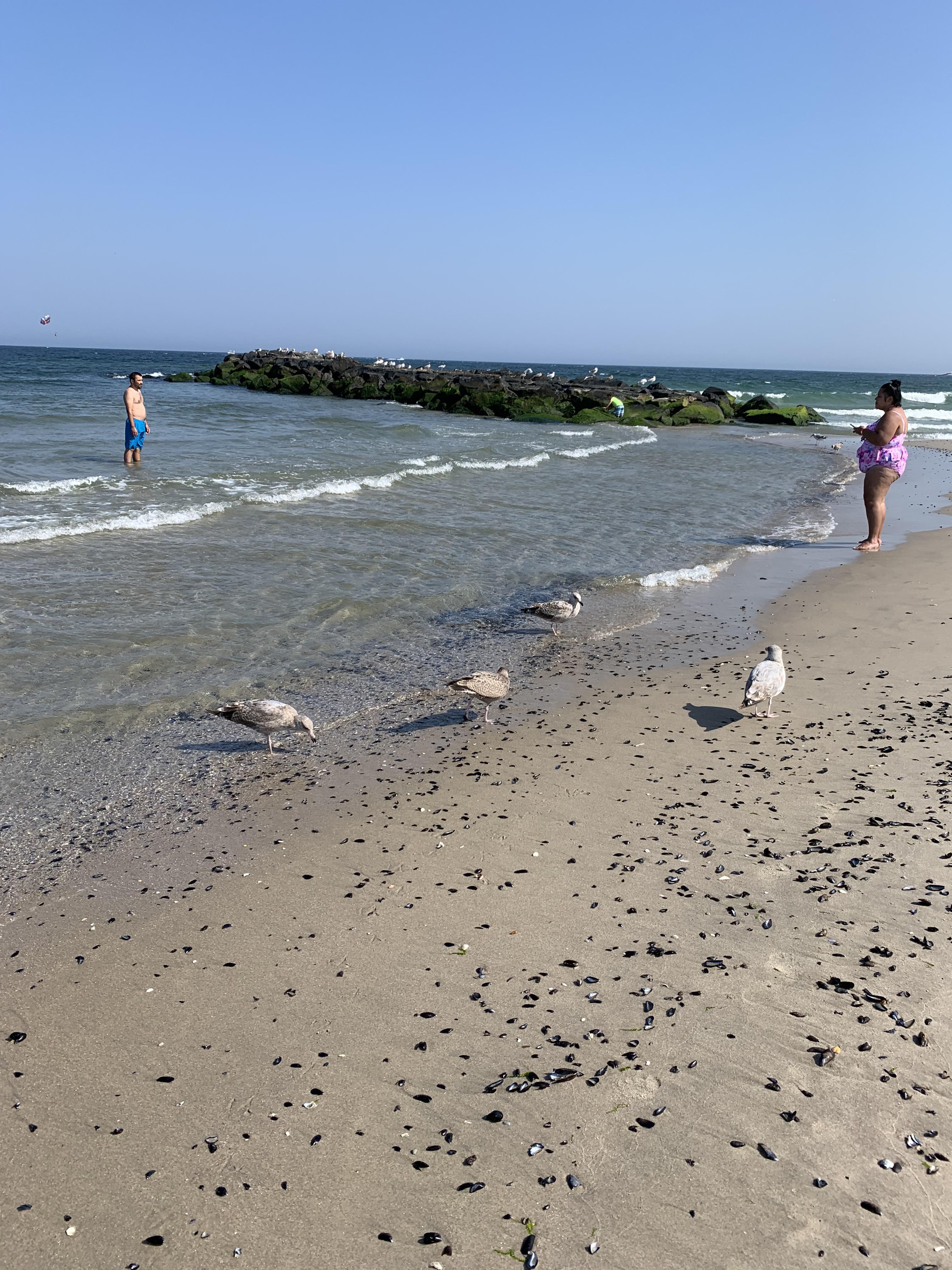 Avon by the sea, NJ r/newjersey