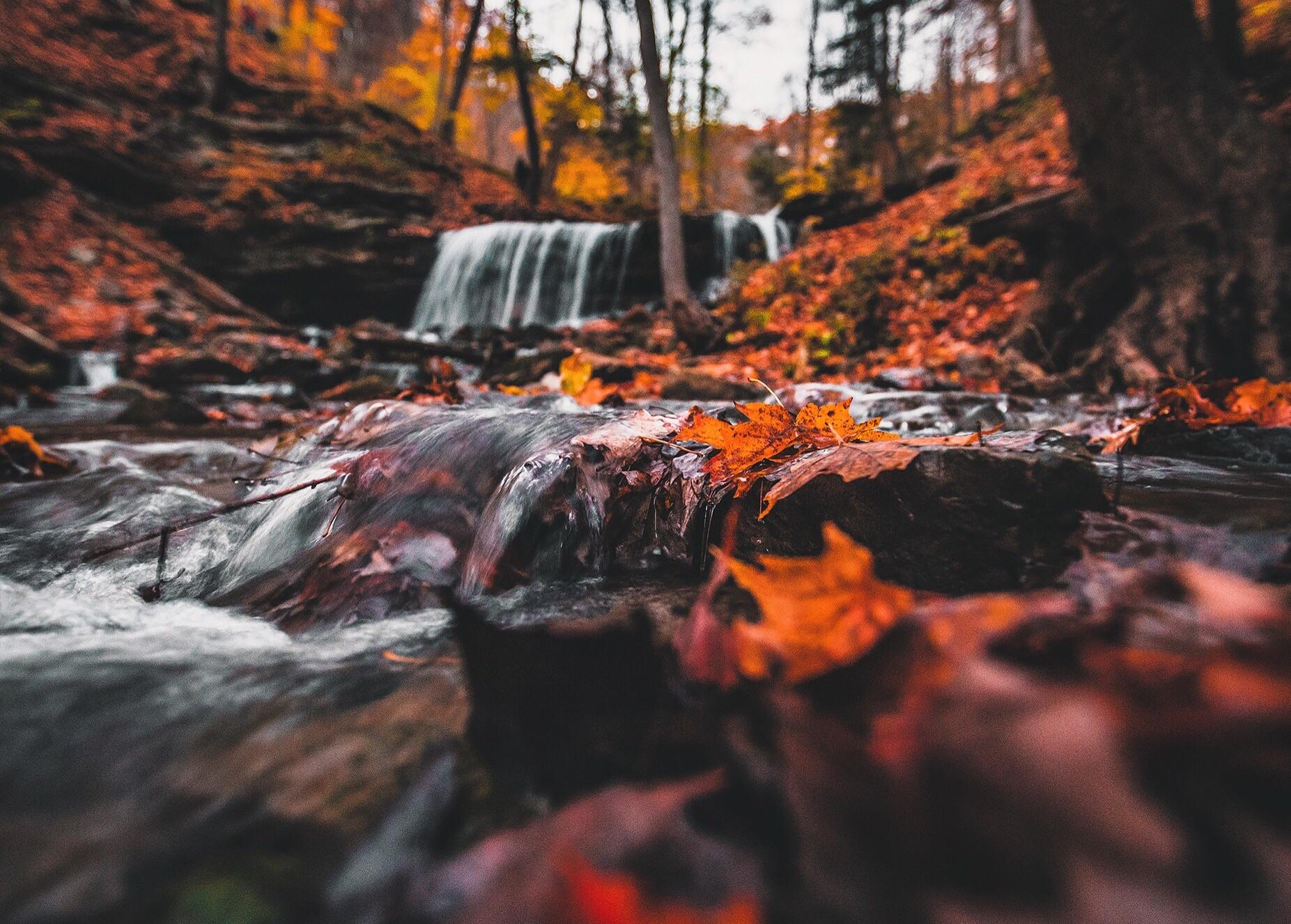 Fall colors in Dundas, Ontario, Canada [OC] [1200 × 859] r/EarthPorn
