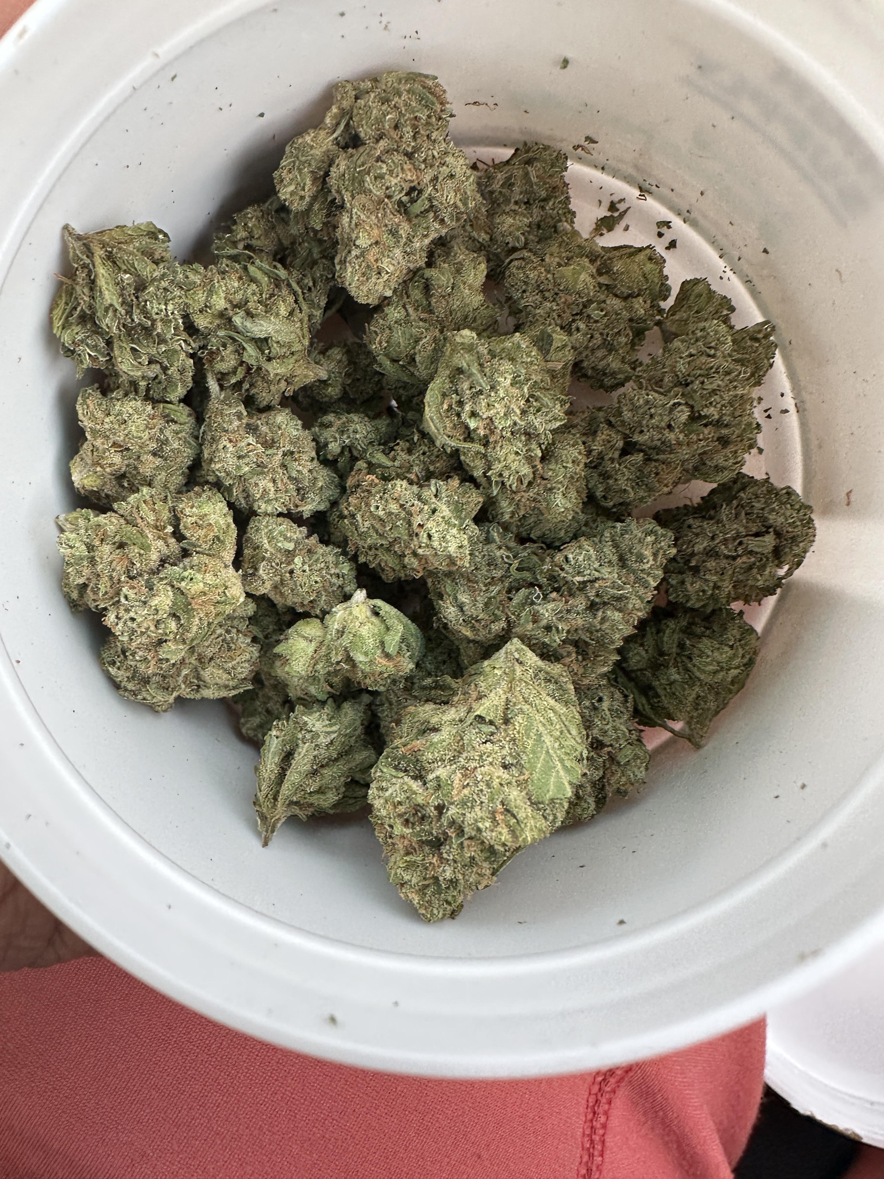 High Supply Pineapple Express 14g “Popcorn” r/ILTrees