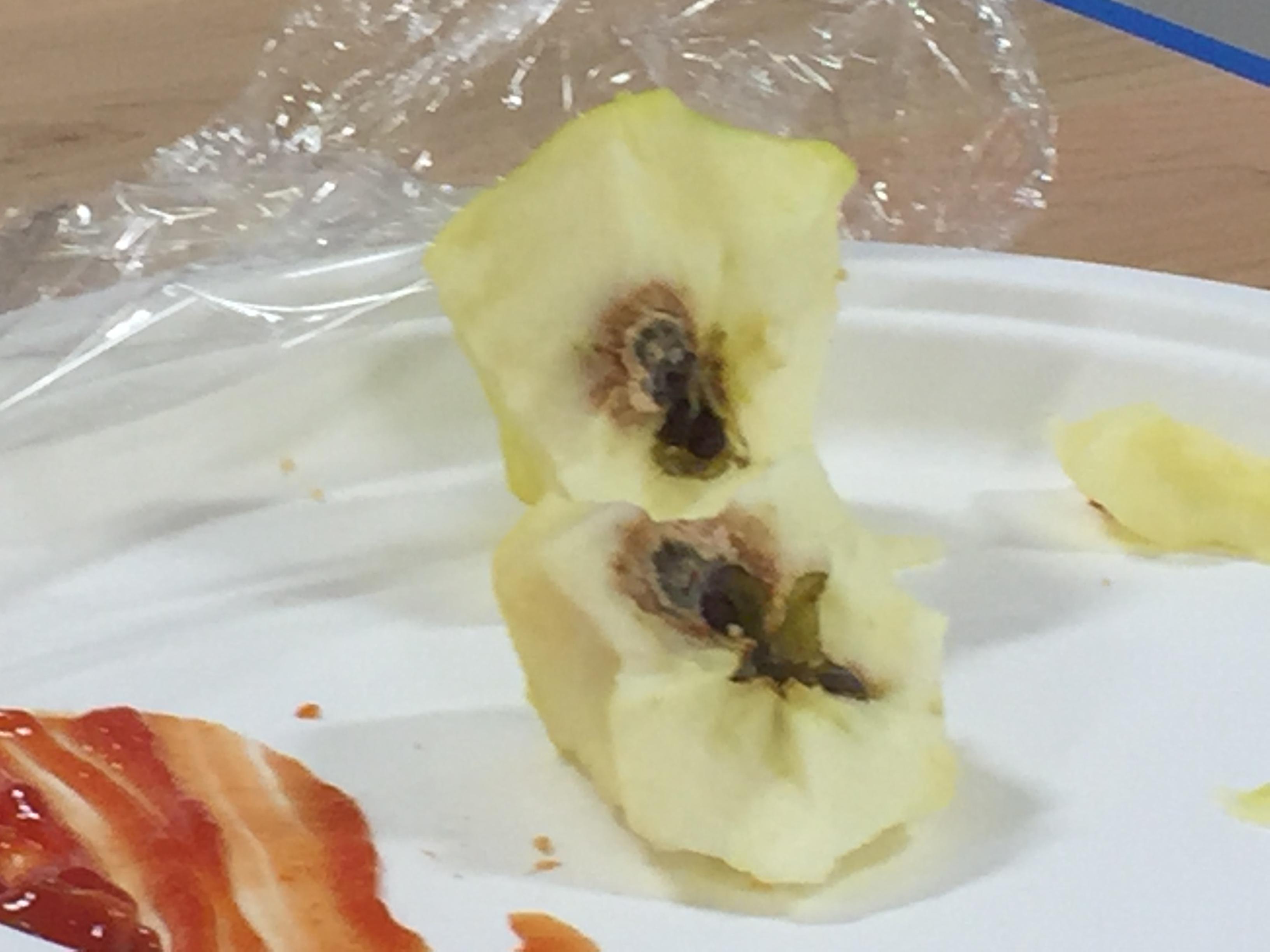 This apple I was eating had mold growing from the inside r/mildlyinteresting
