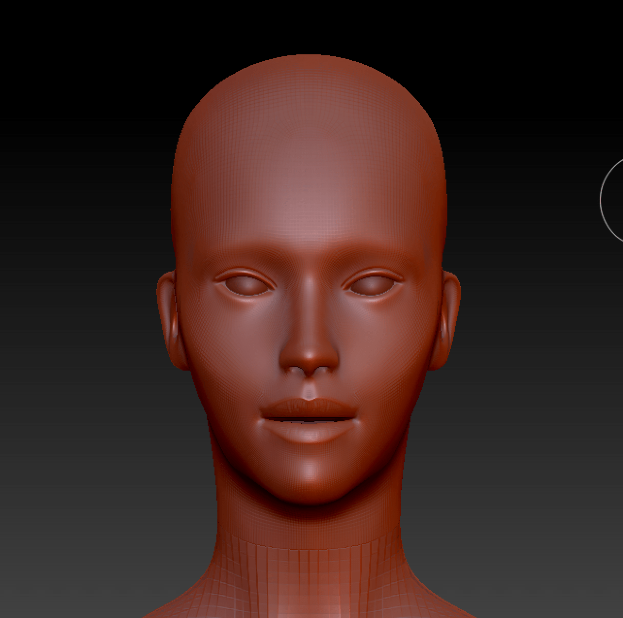I'm a zBrush beginner, how can I make this female head