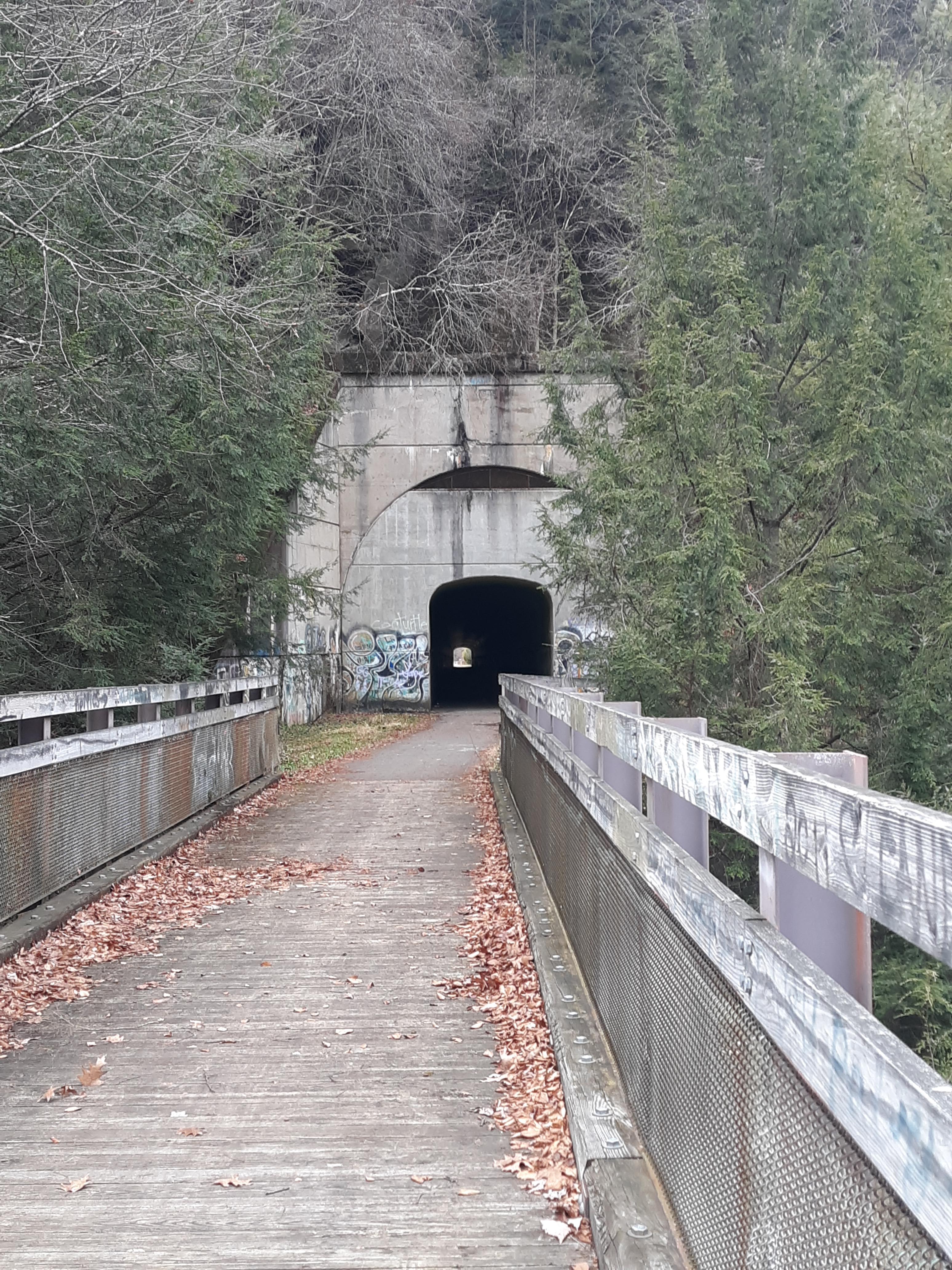 Sandy Creek Trail tunnel, near Franklin, PA r/PAWilds
