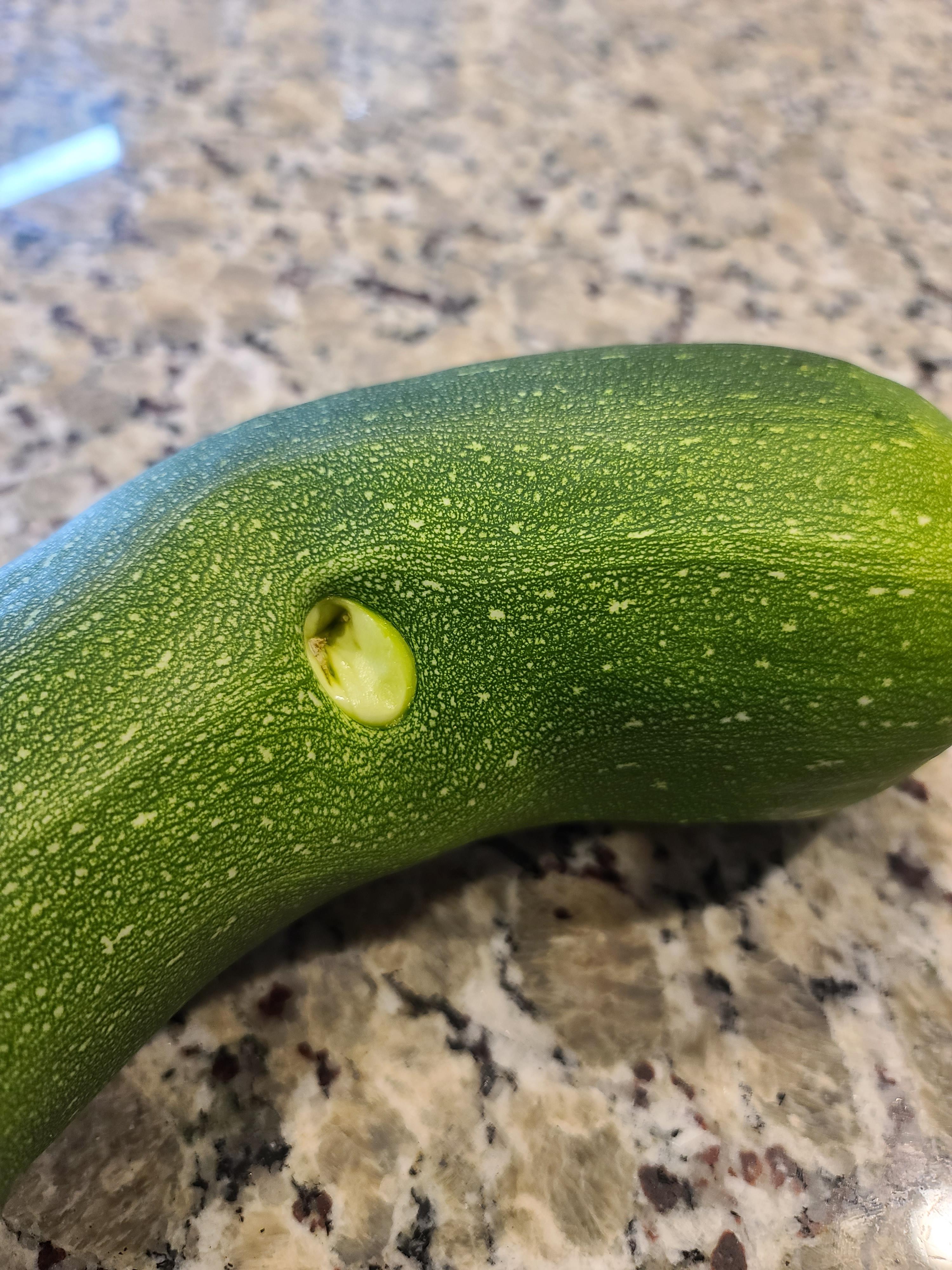 what is this weird thing in my zucchini? it's not an actual hole and is