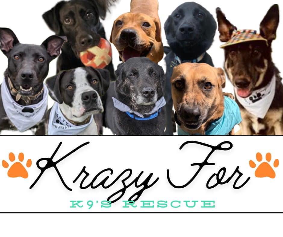 Food donations needed Knoxville Tennessee r/National_Pet_Adoption