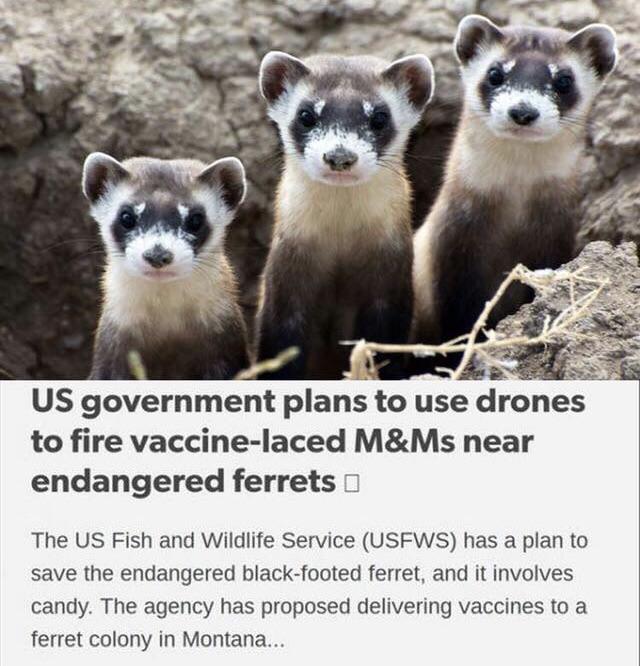 200,000 years of human existence. This is what we have