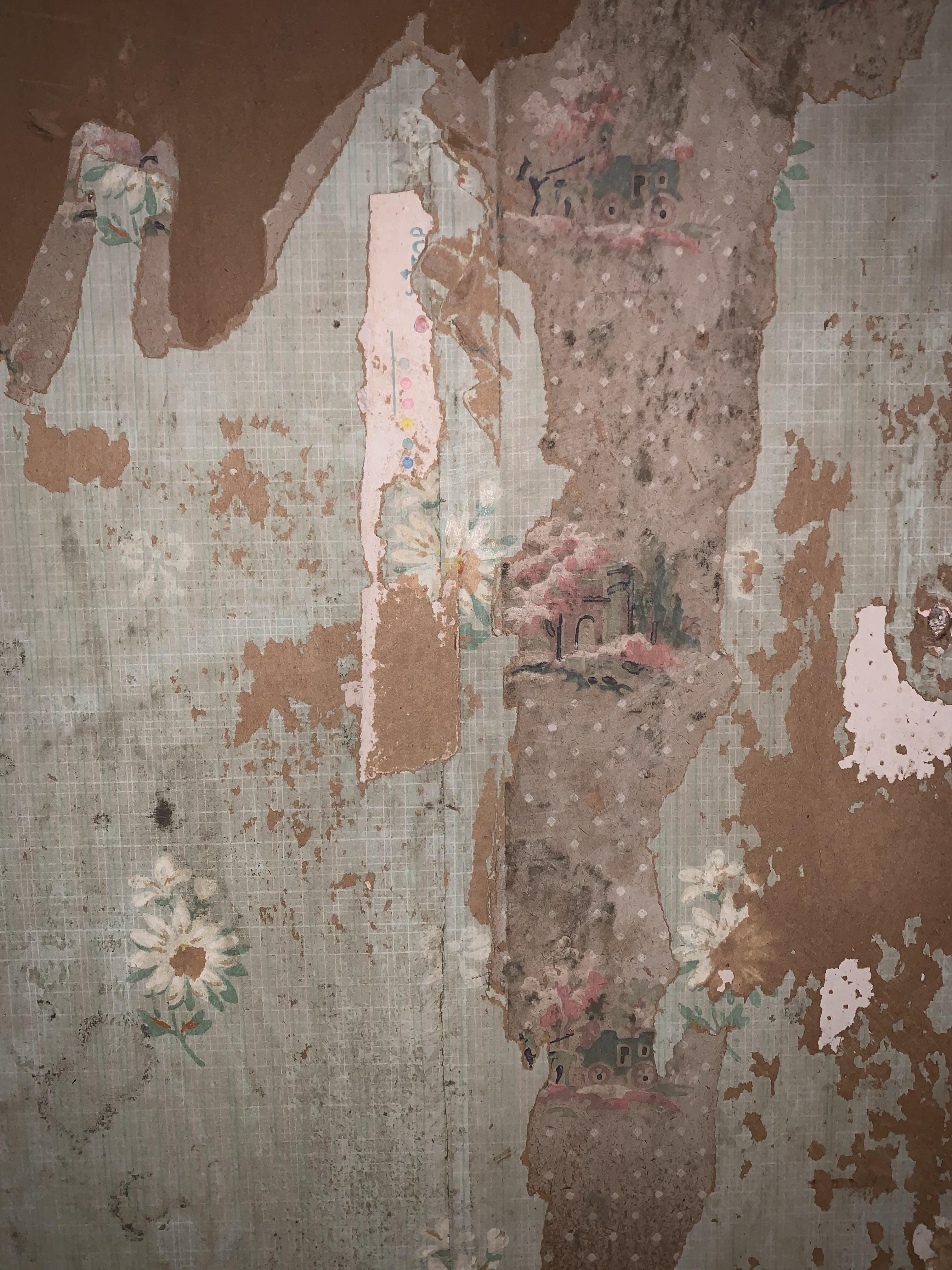 Not super interesting but I found the first layer of wallpaper in my