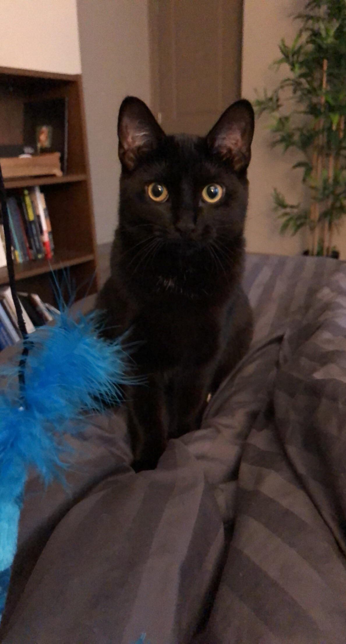 Going on vacation next week and she will be boarded at the vets for the